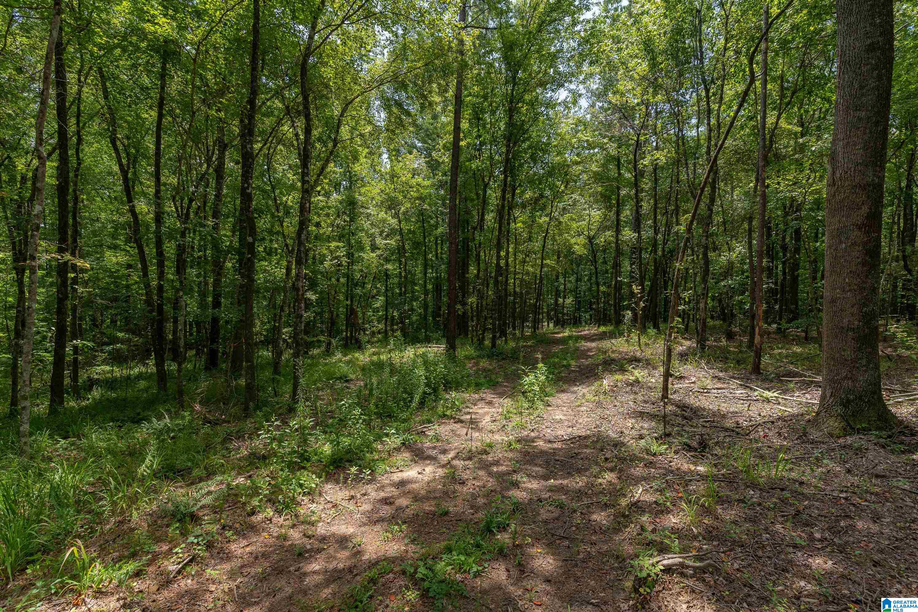 6025 JOINERTOWN ROAD NA