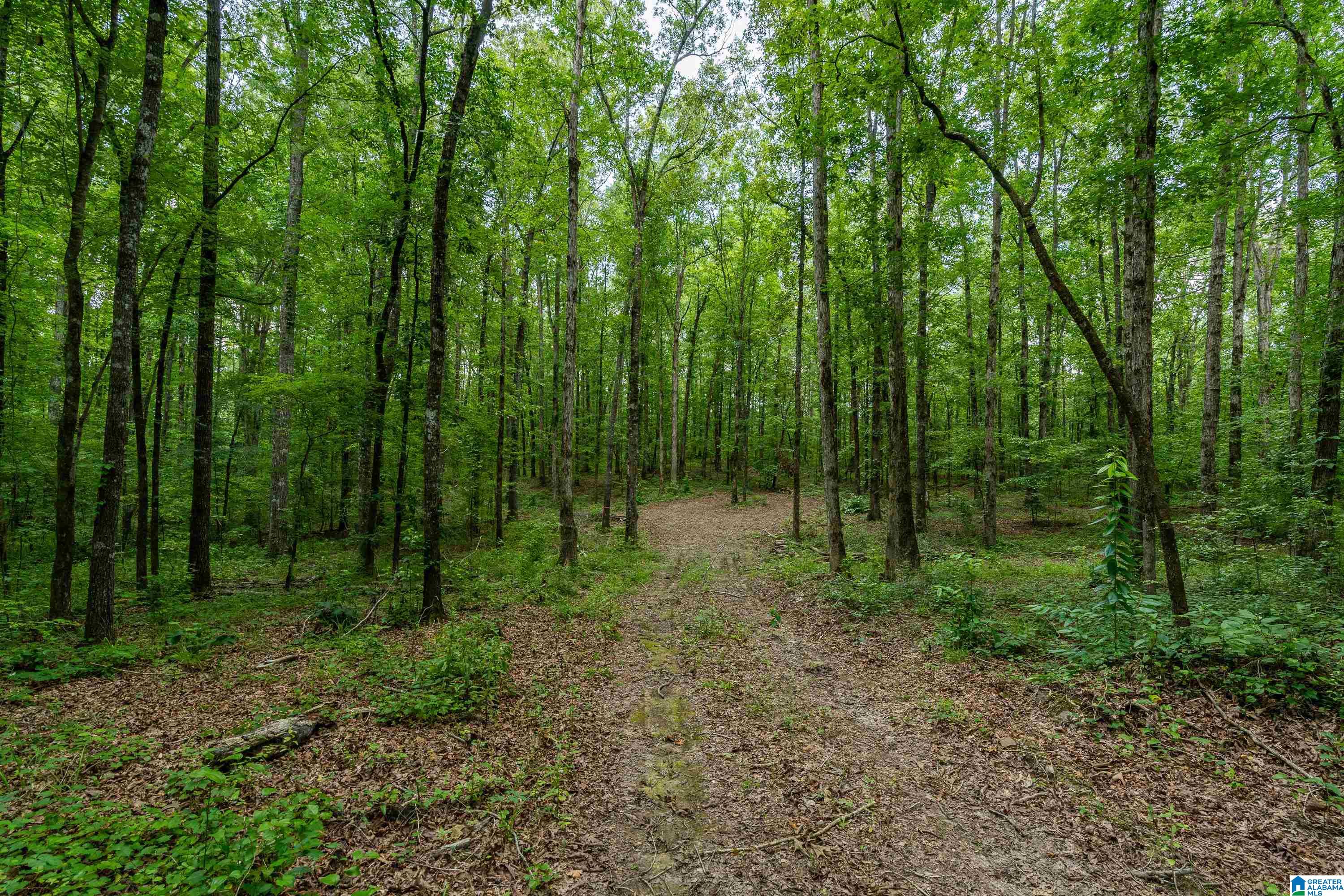 6025 JOINERTOWN ROAD NA