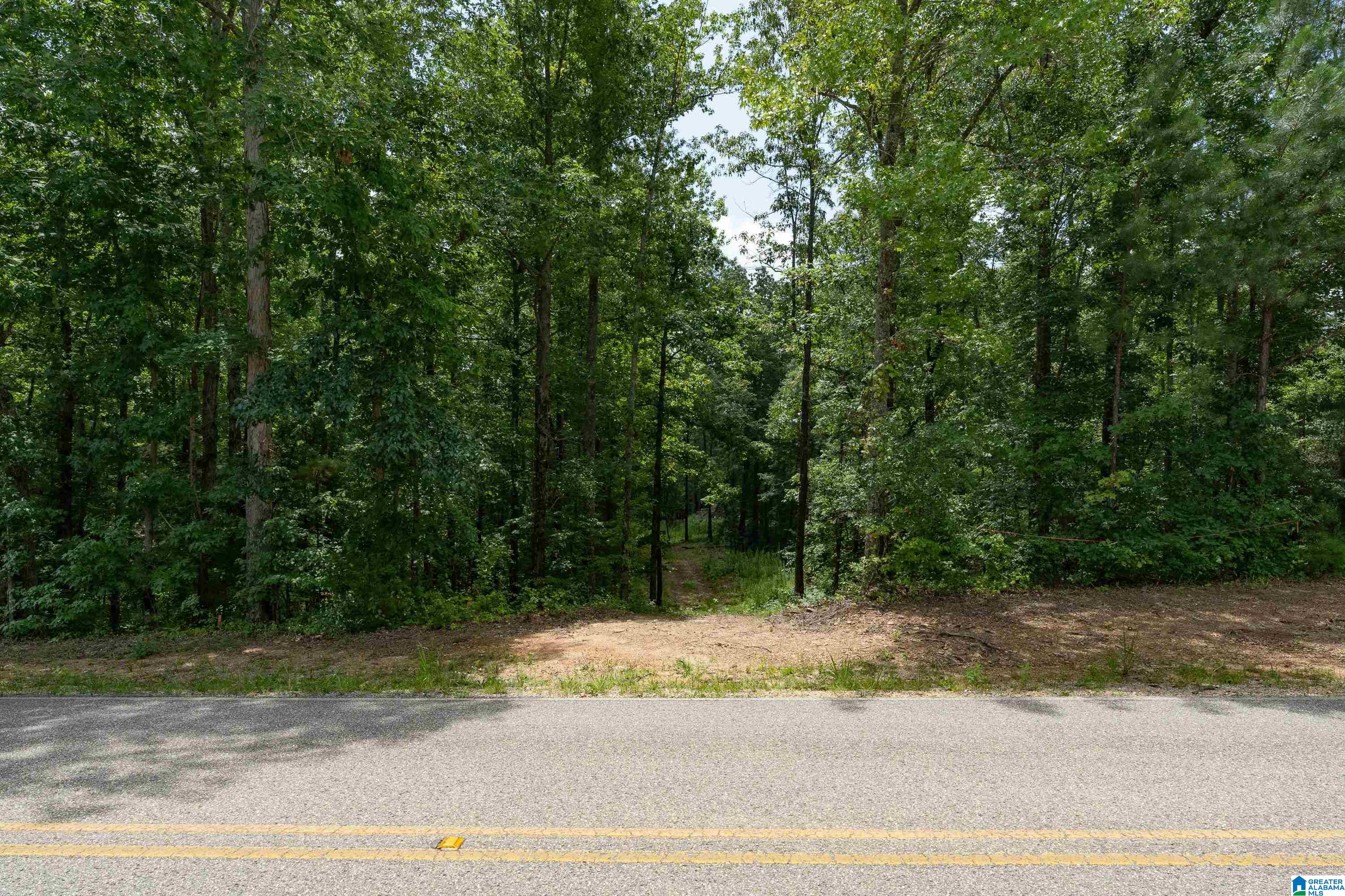 6025 JOINERTOWN ROAD NA