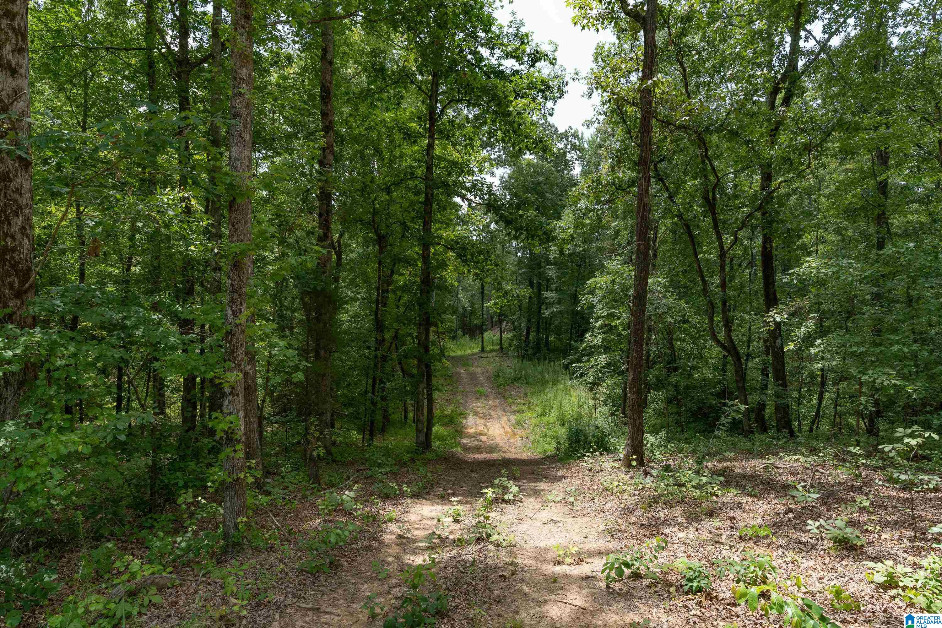 6025 JOINERTOWN ROAD NA