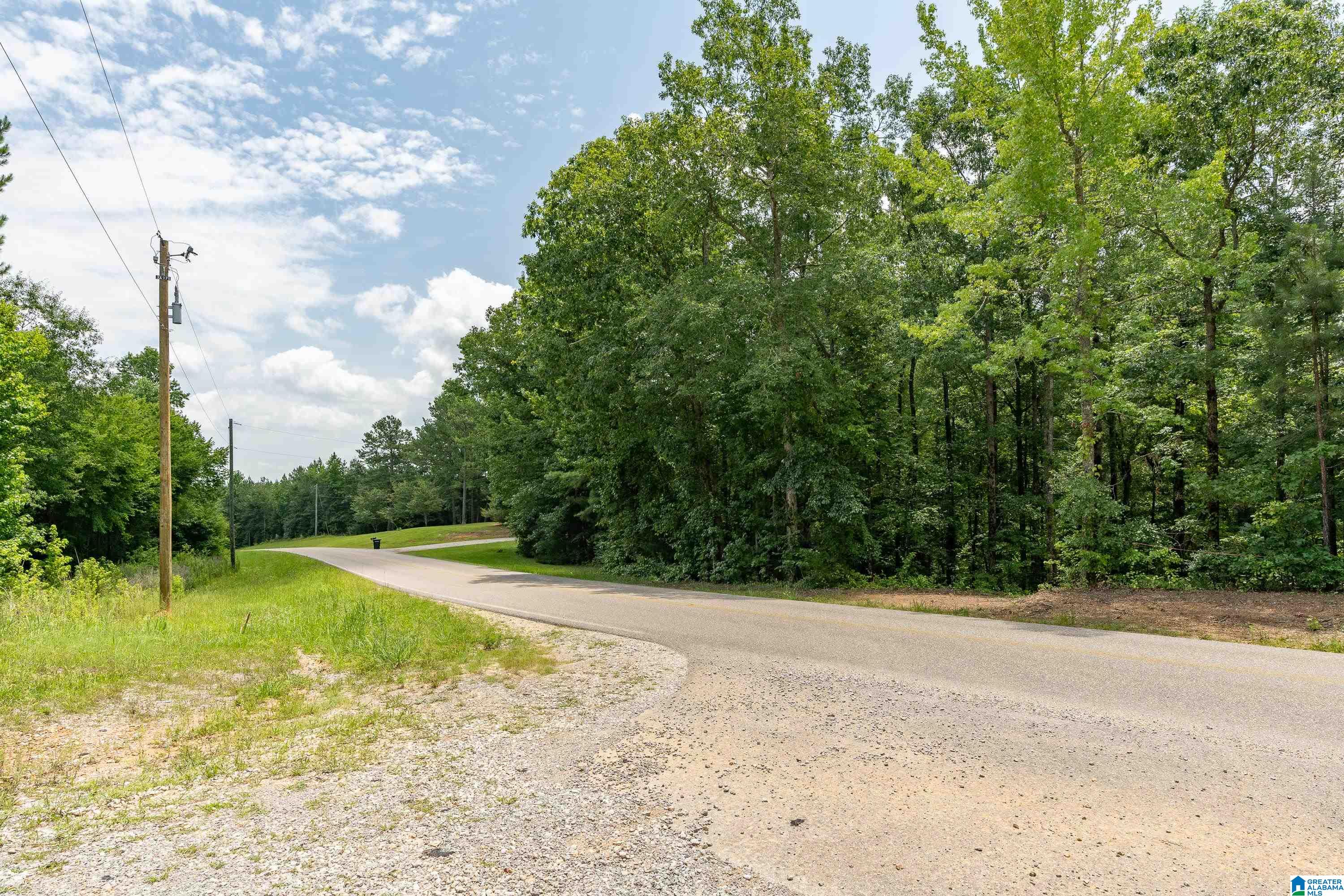 6025 JOINERTOWN ROAD NA