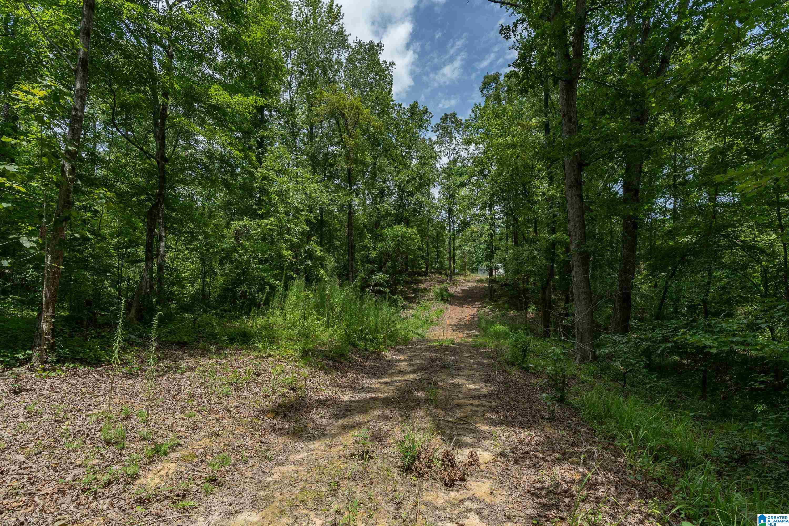 6025 JOINERTOWN ROAD NA