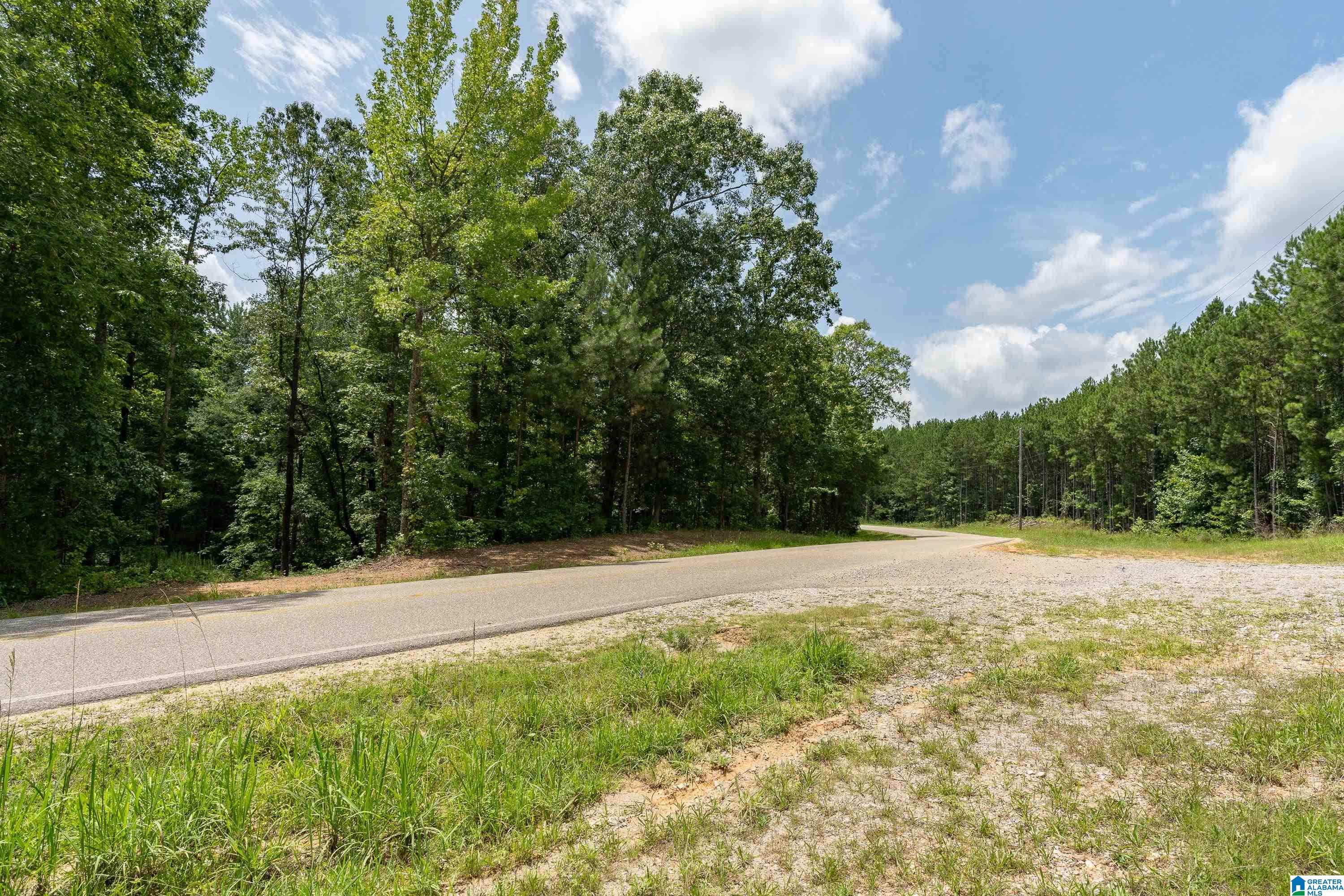 6025 JOINERTOWN ROAD NA