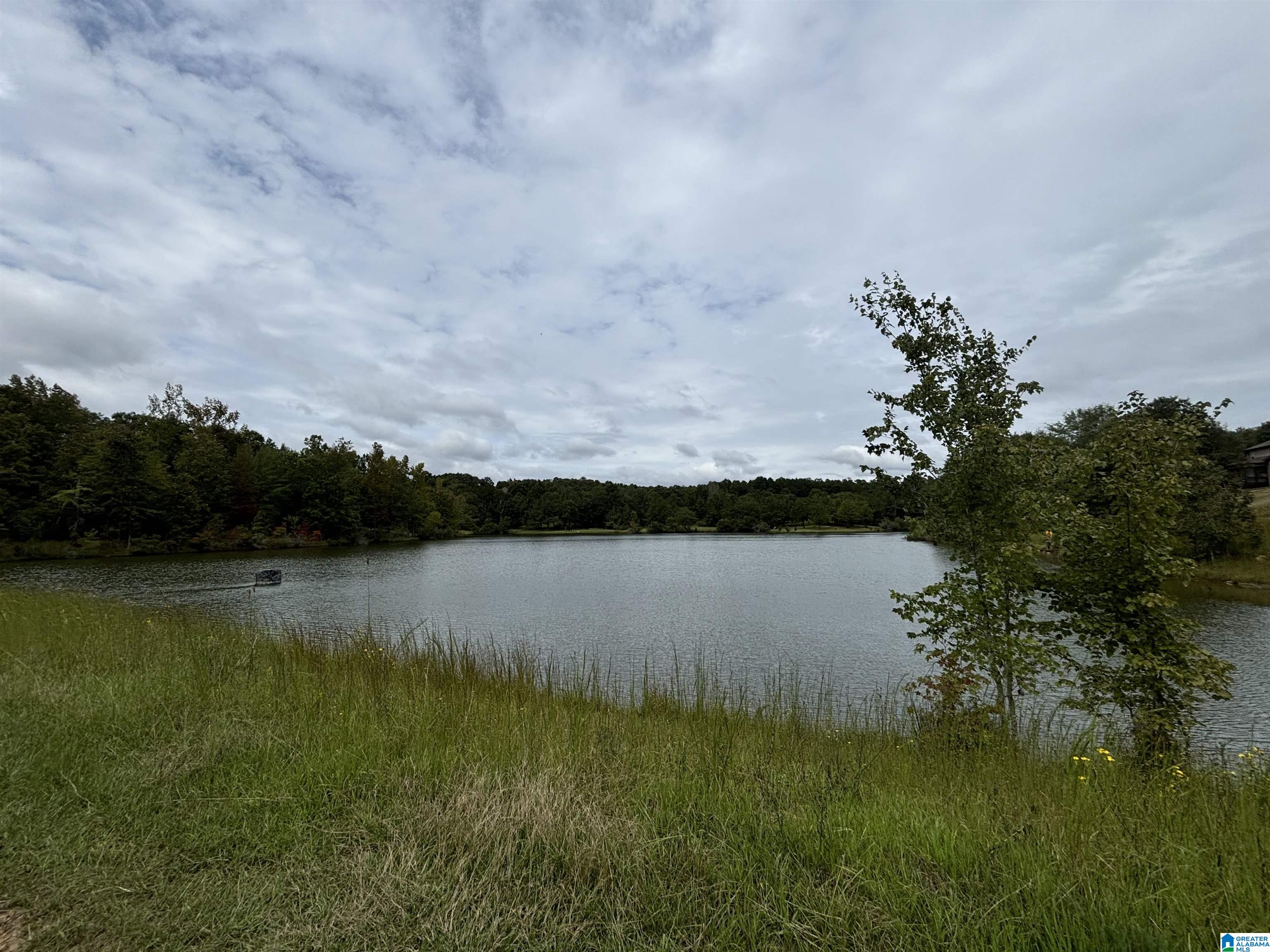 601 EMERALD TRACE