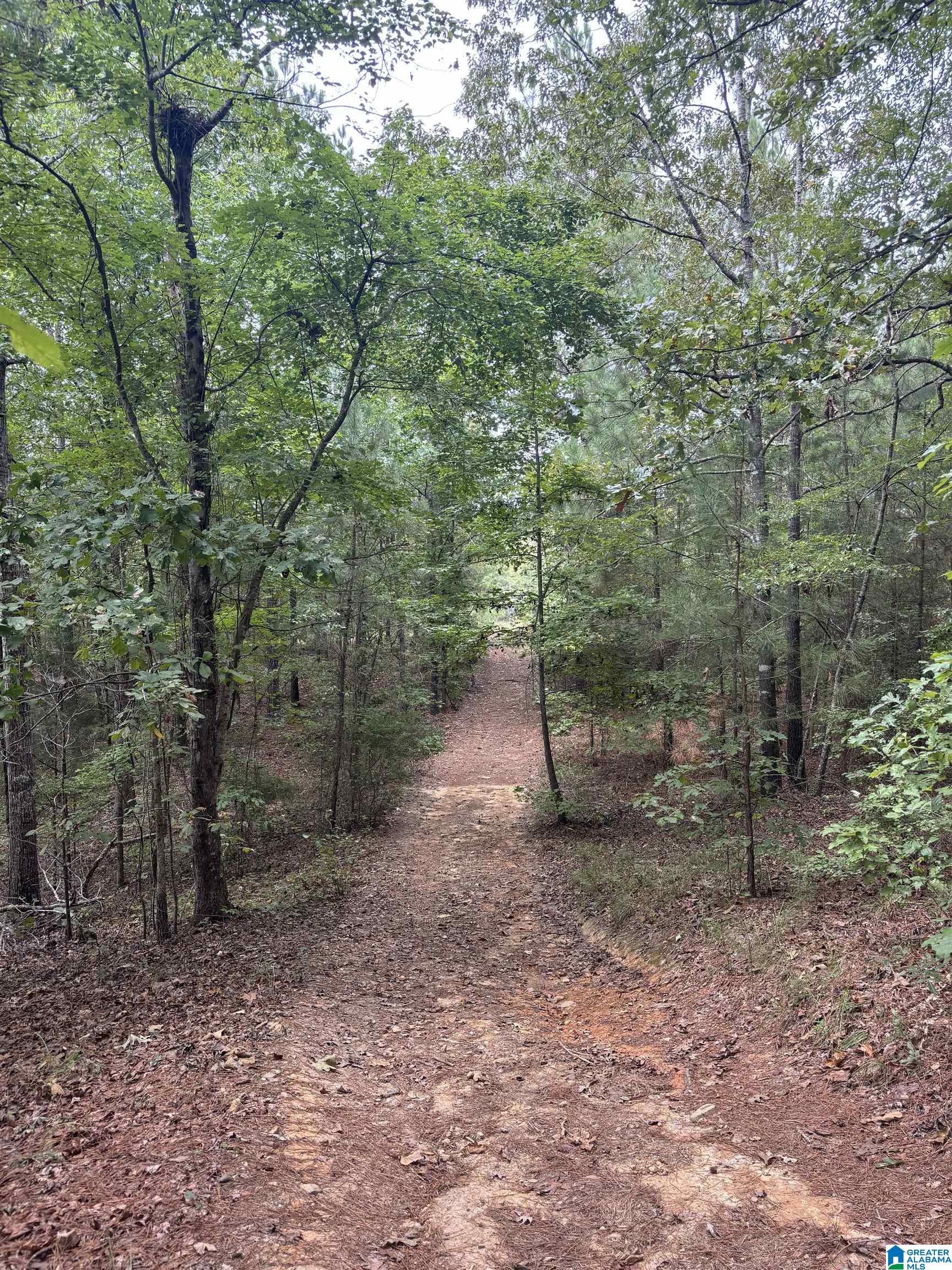 601 EMERALD TRACE