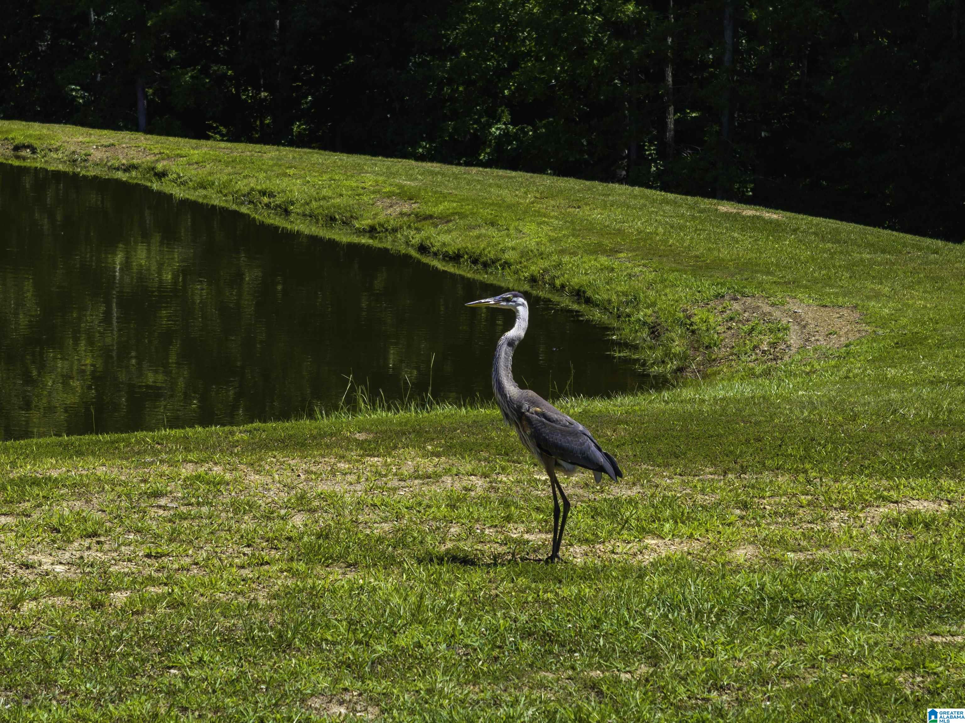 395 RED OAK ROAD