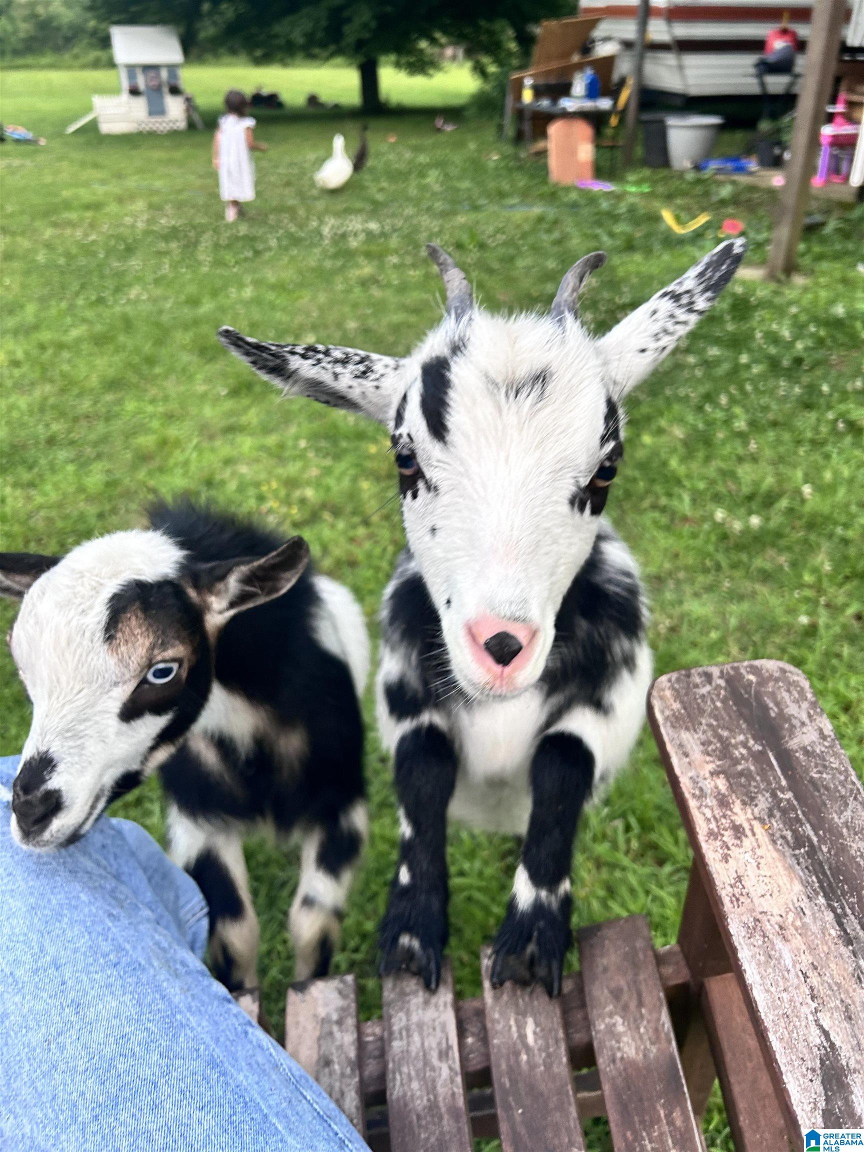 4672 OLD HIGHWAY 280