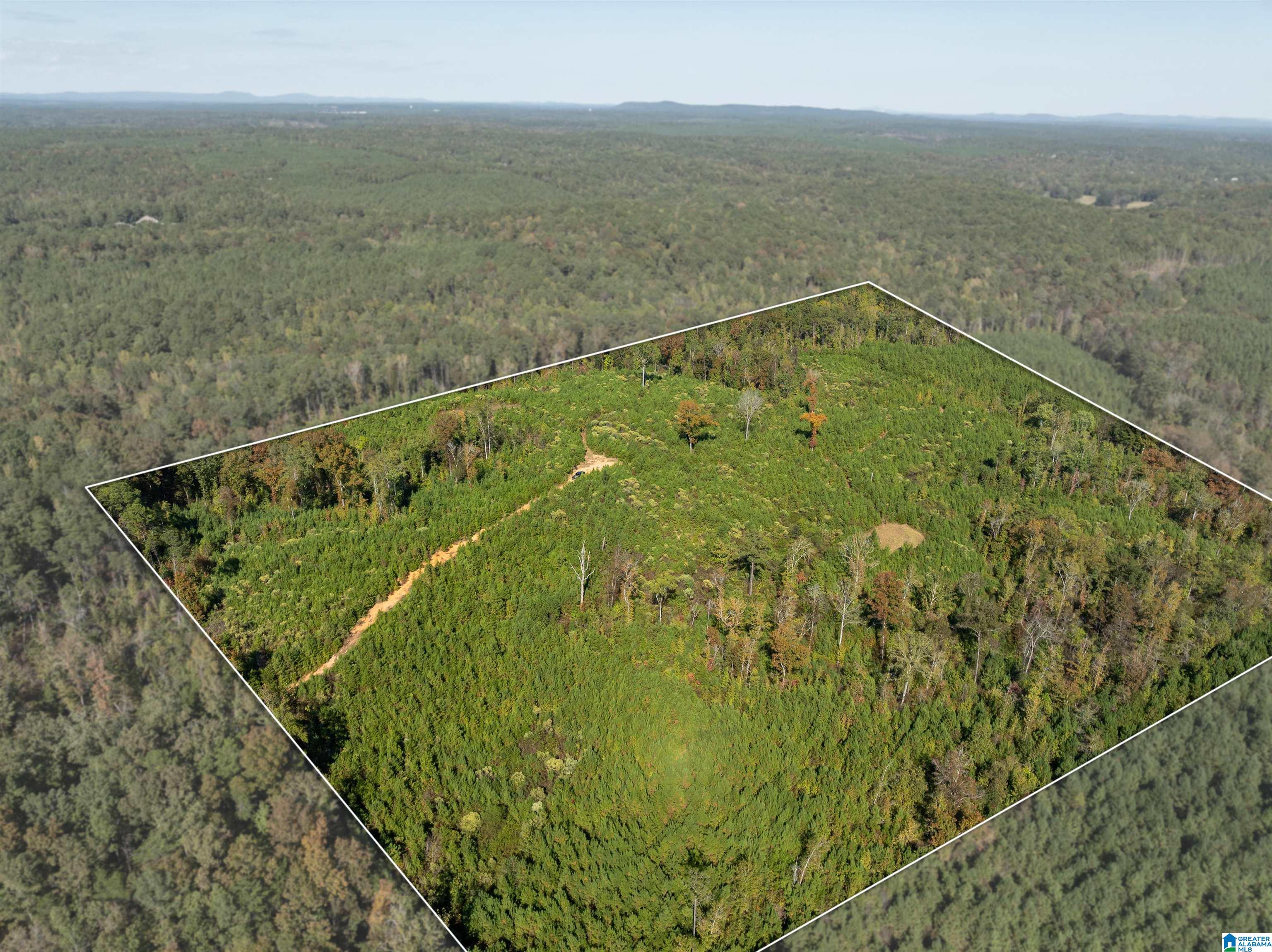 2599 COUNTY ROAD 86 .