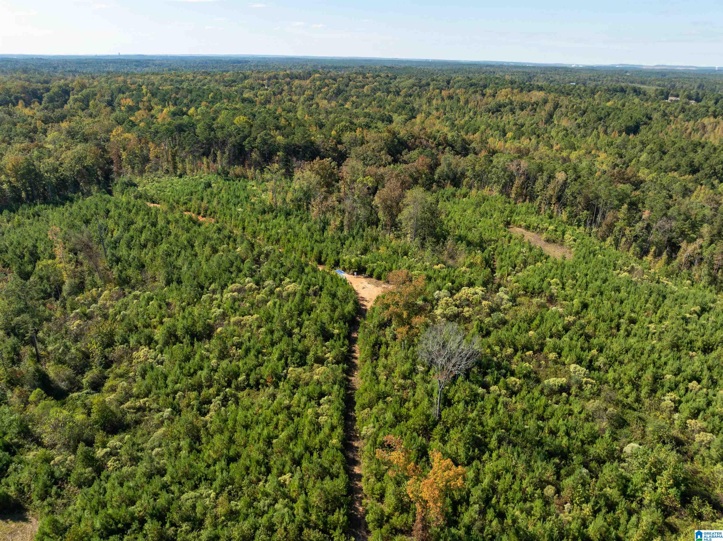 2599 COUNTY ROAD 86 .