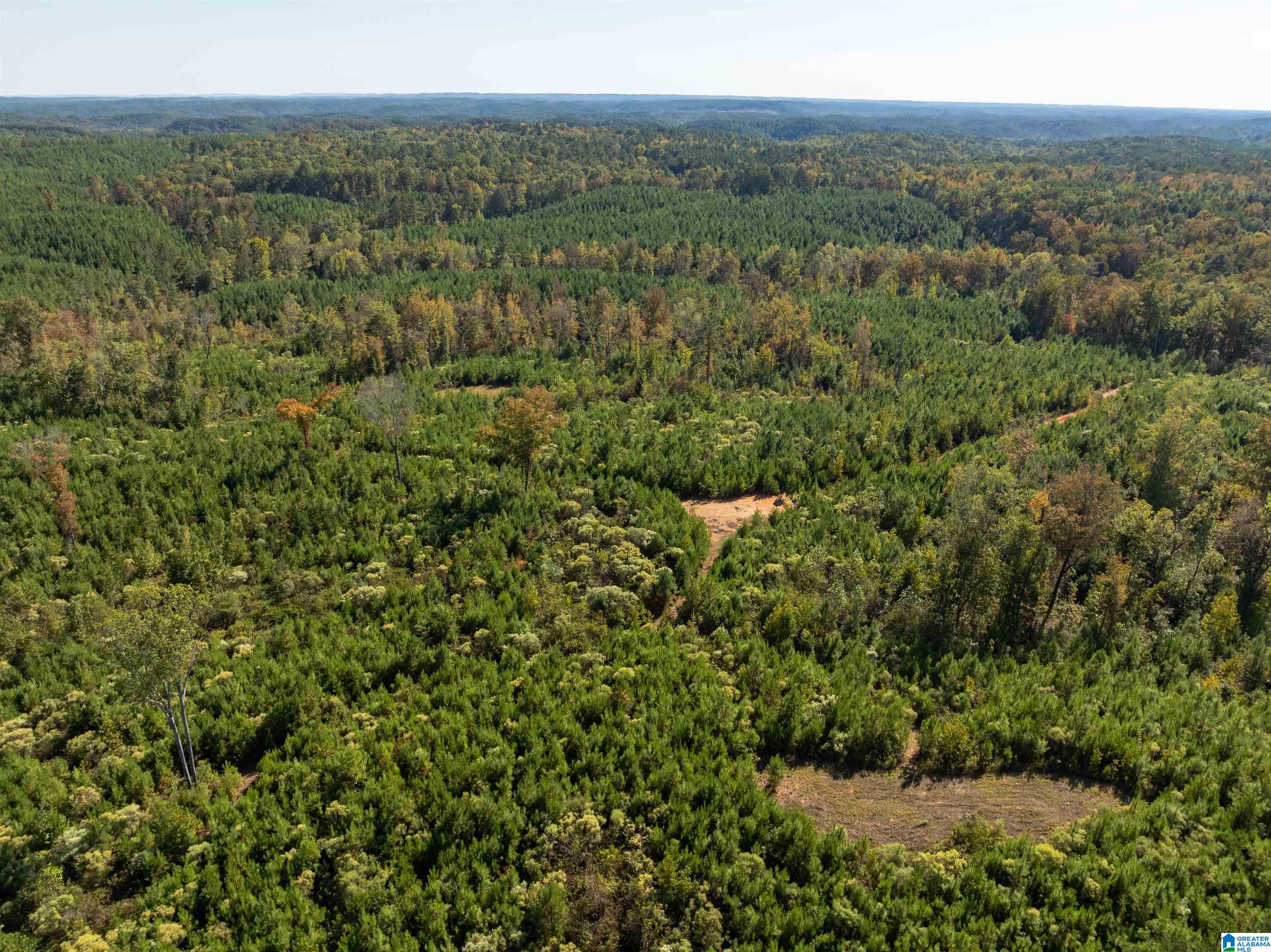 2599 COUNTY ROAD 86 .