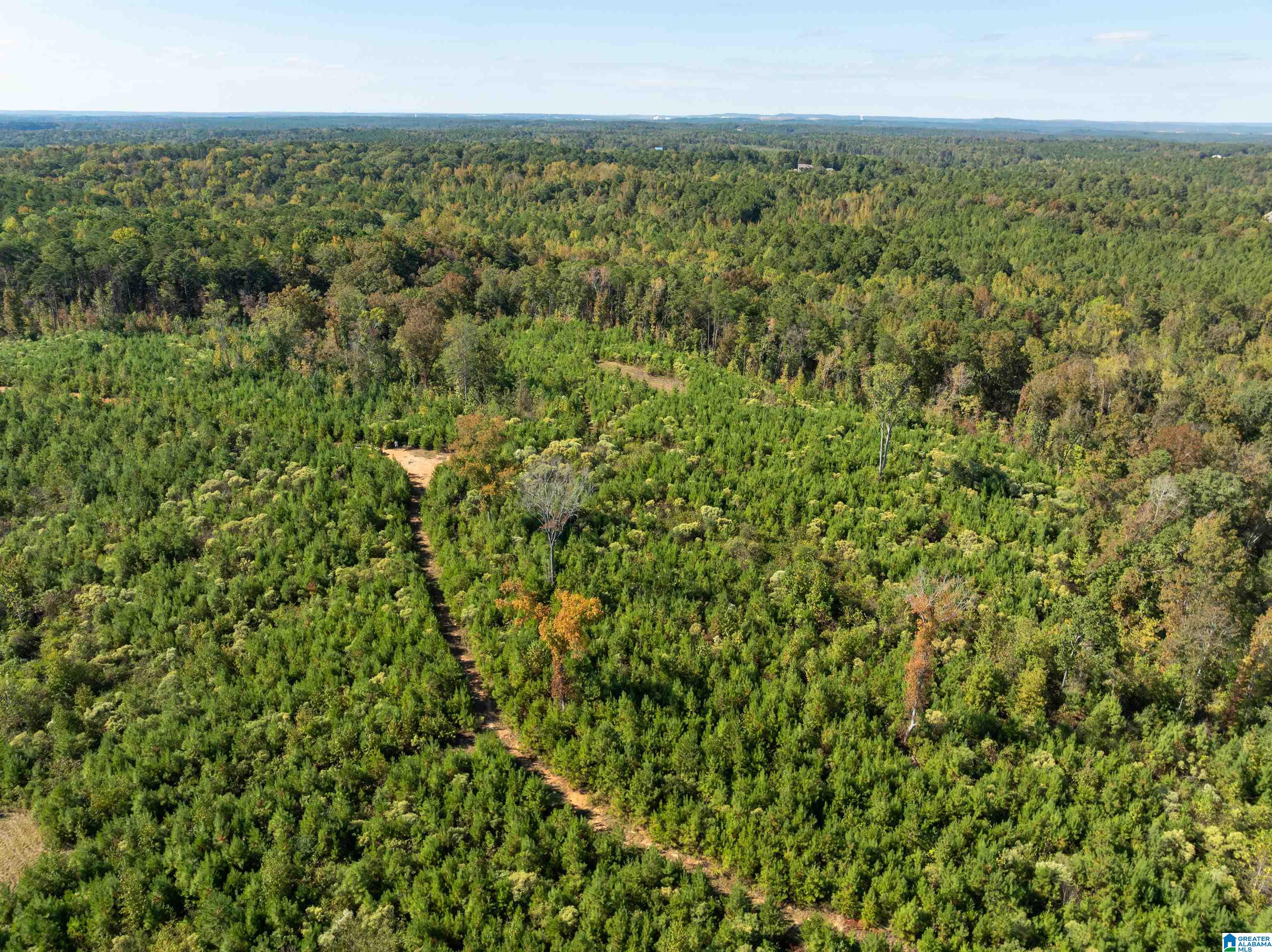 2599 COUNTY ROAD 86 .