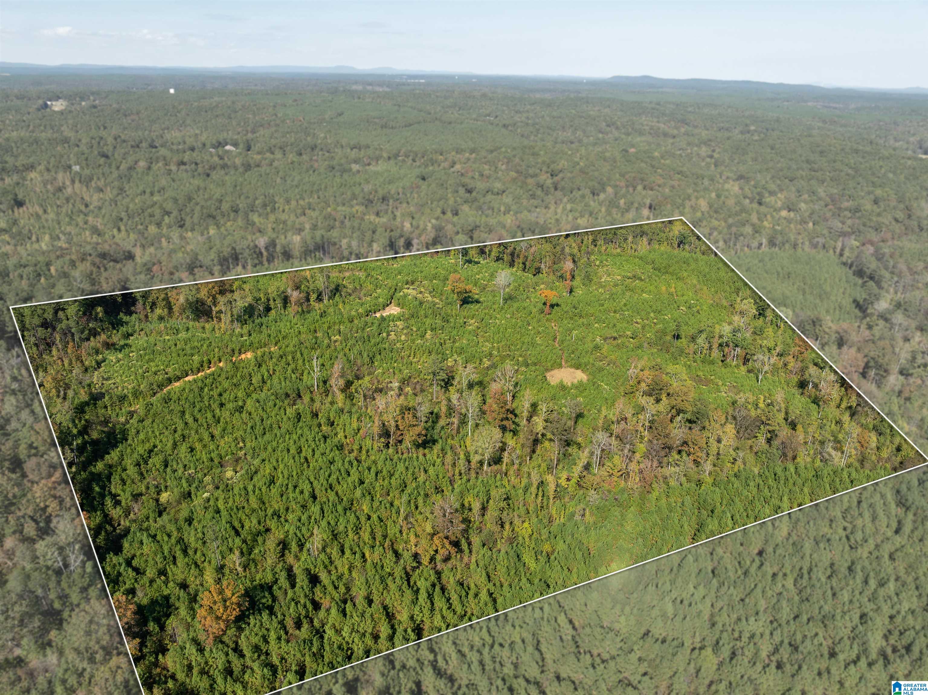 2599 COUNTY ROAD 86 .