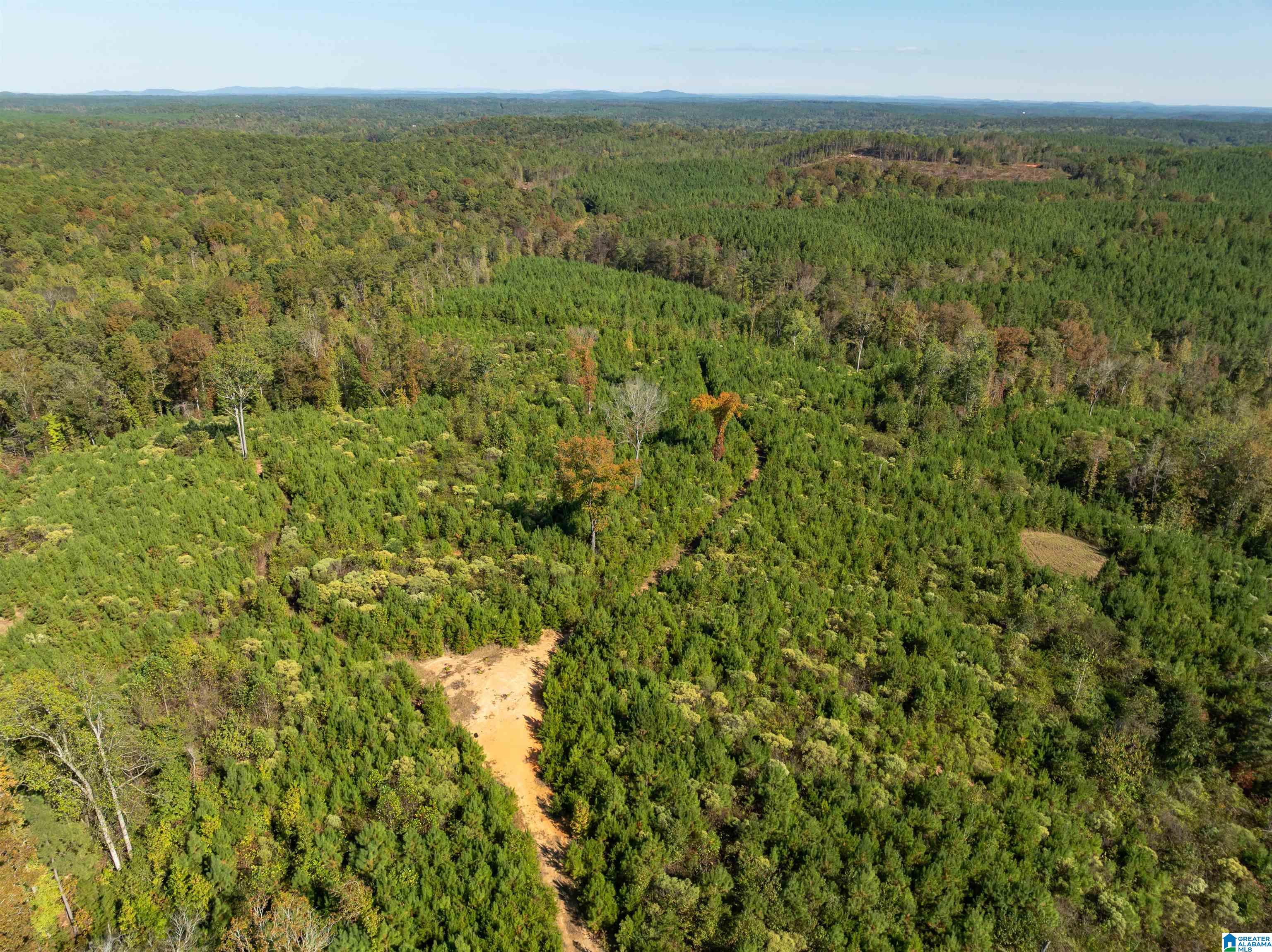 2599 COUNTY ROAD 86 .