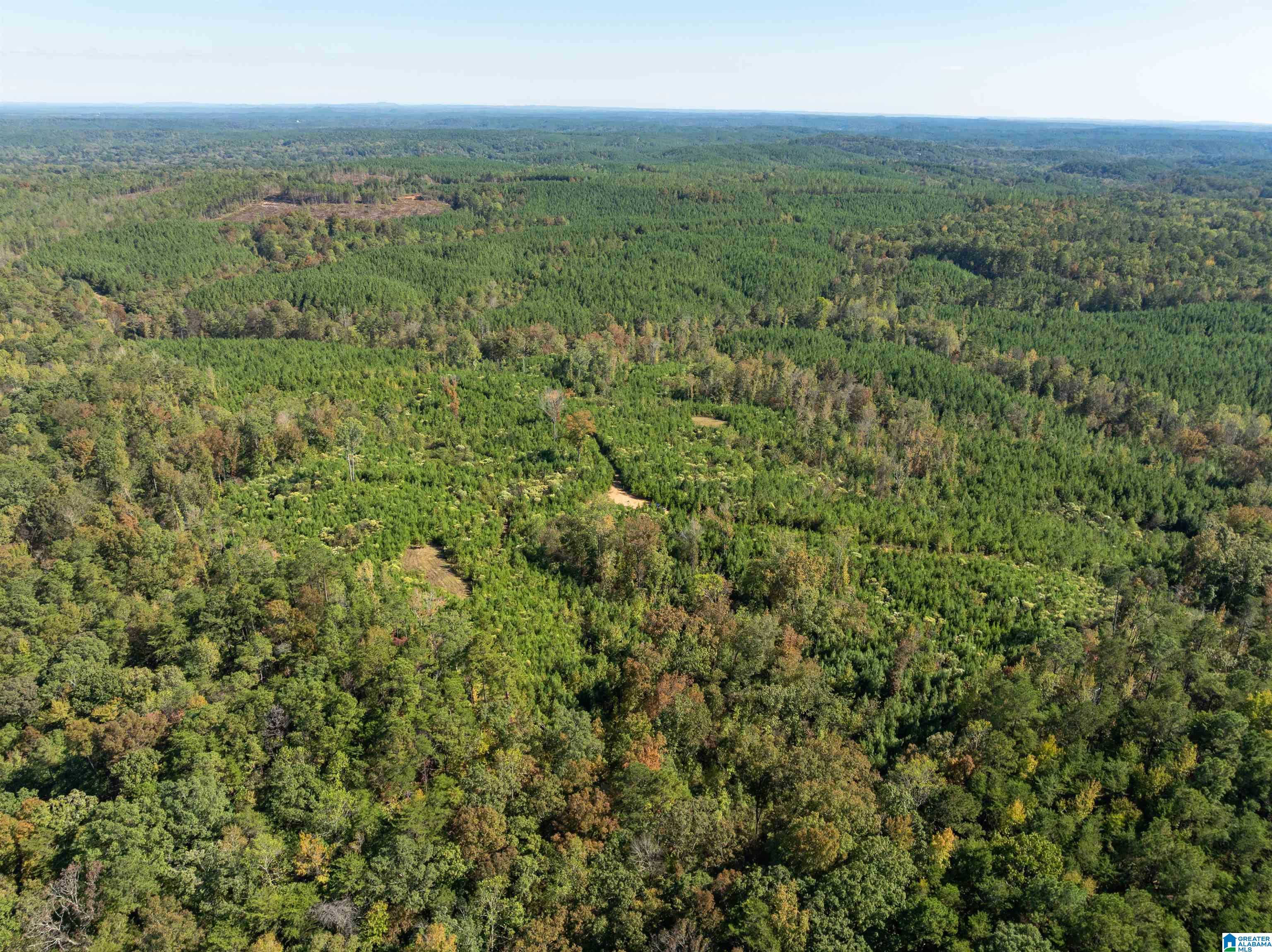 2599 COUNTY ROAD 86 .