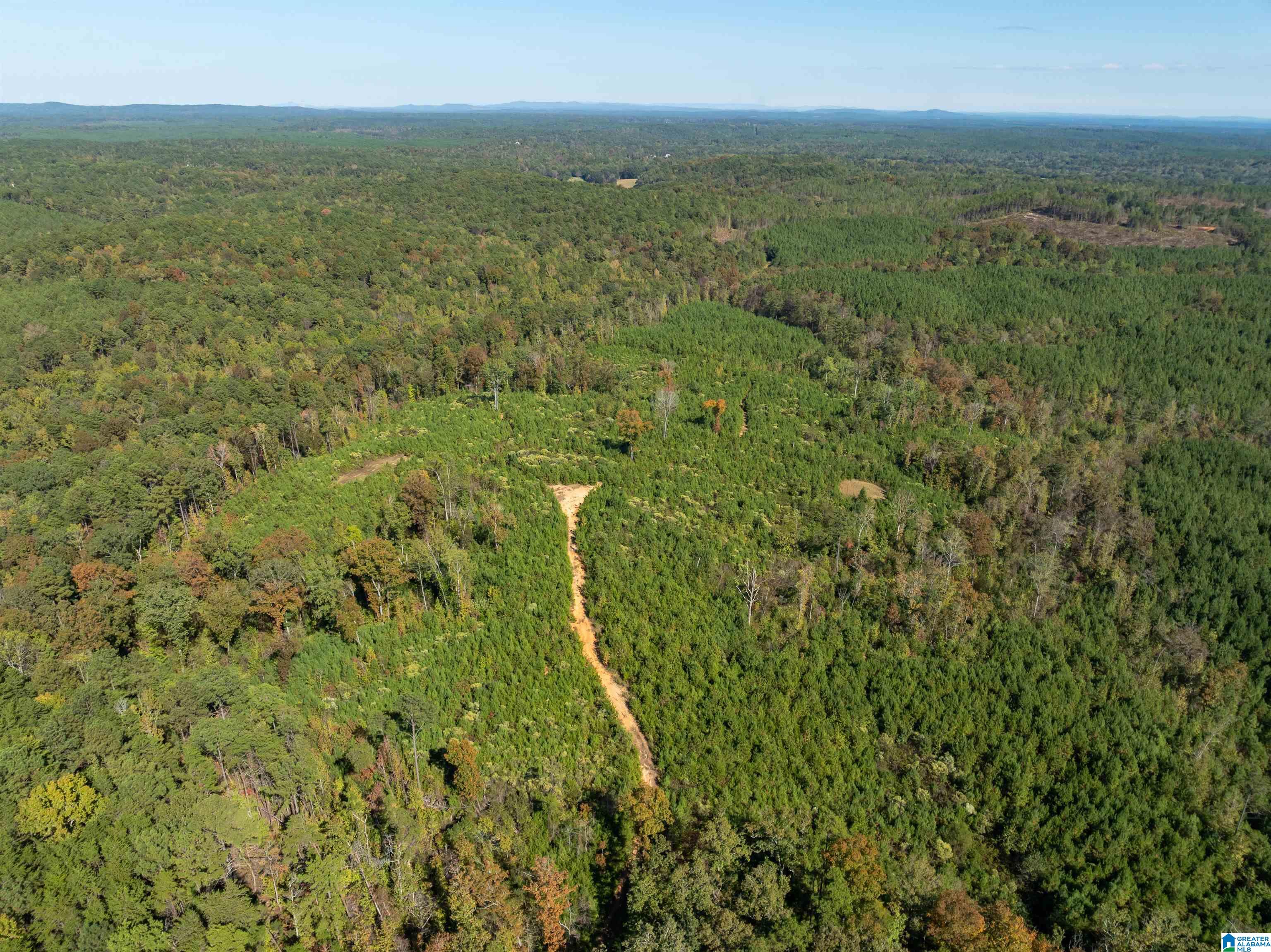 2599 COUNTY ROAD 86 .