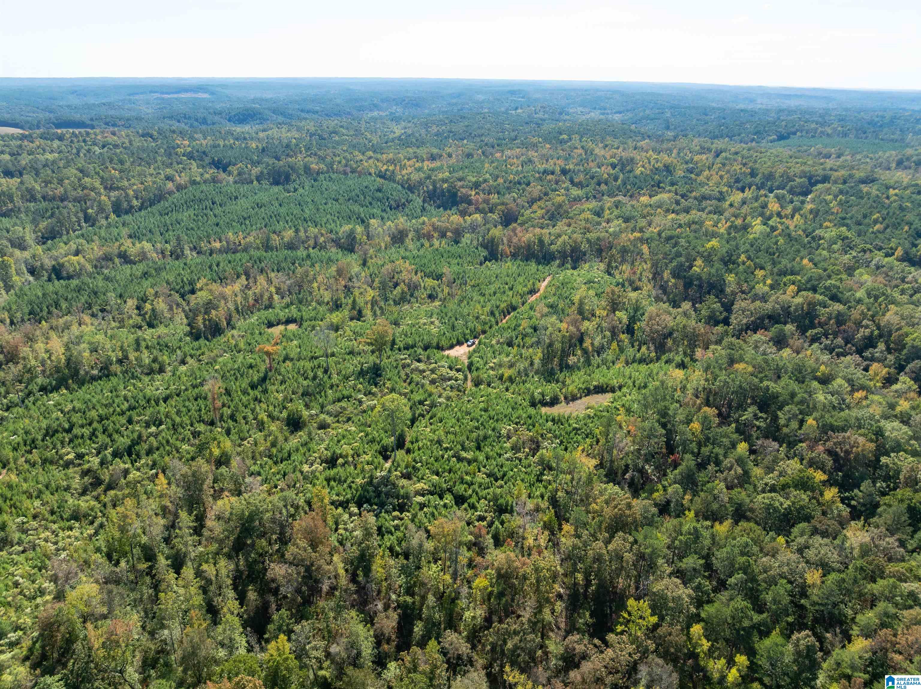 2599 COUNTY ROAD 86 .