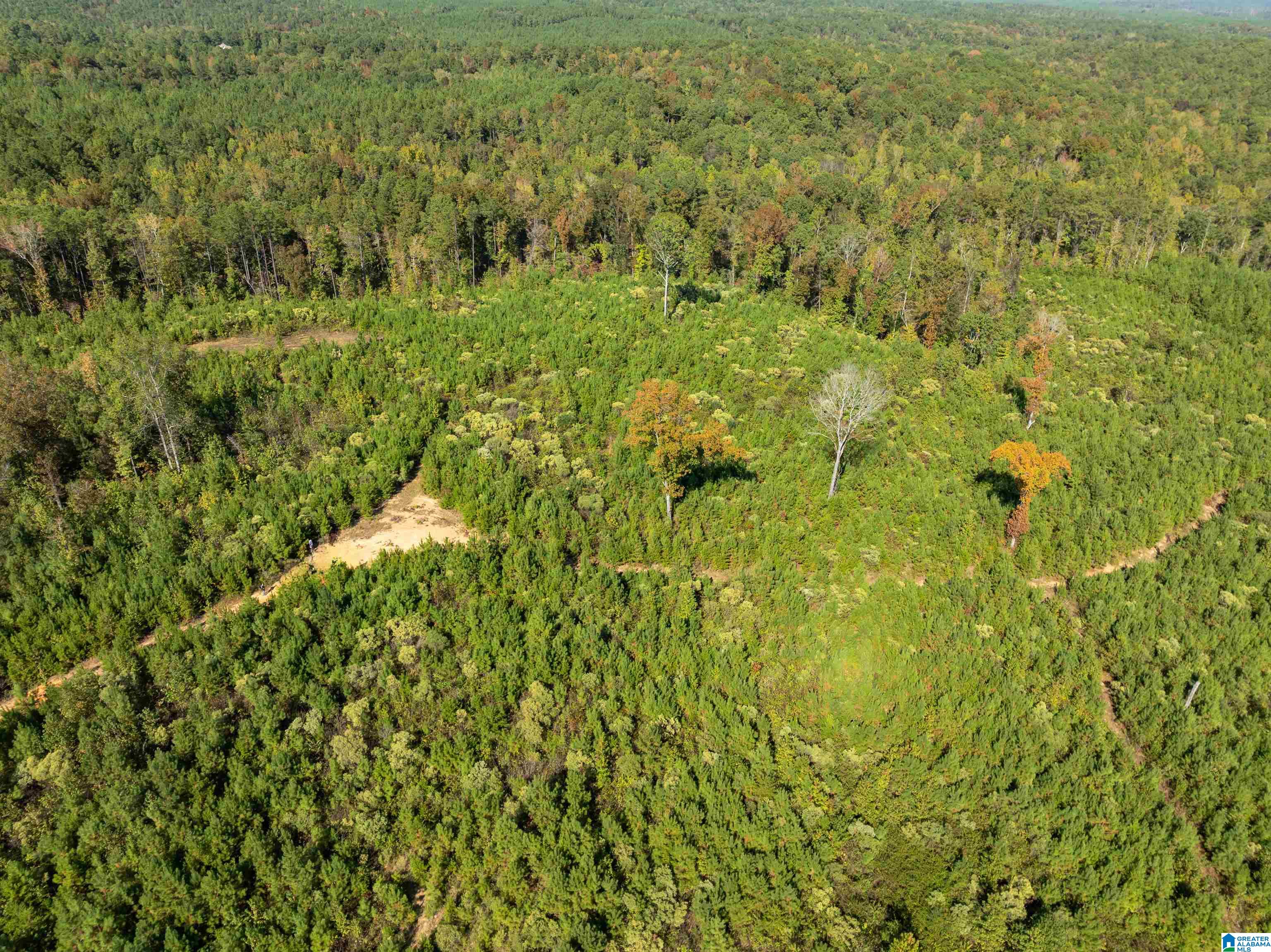 2599 COUNTY ROAD 86 .