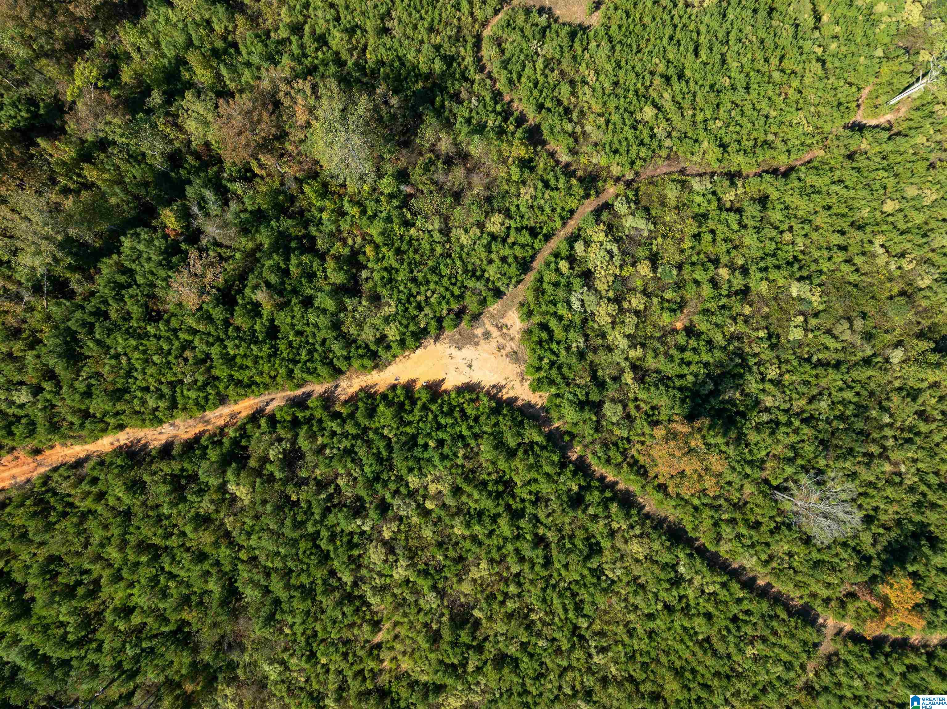 2599 COUNTY ROAD 86 .