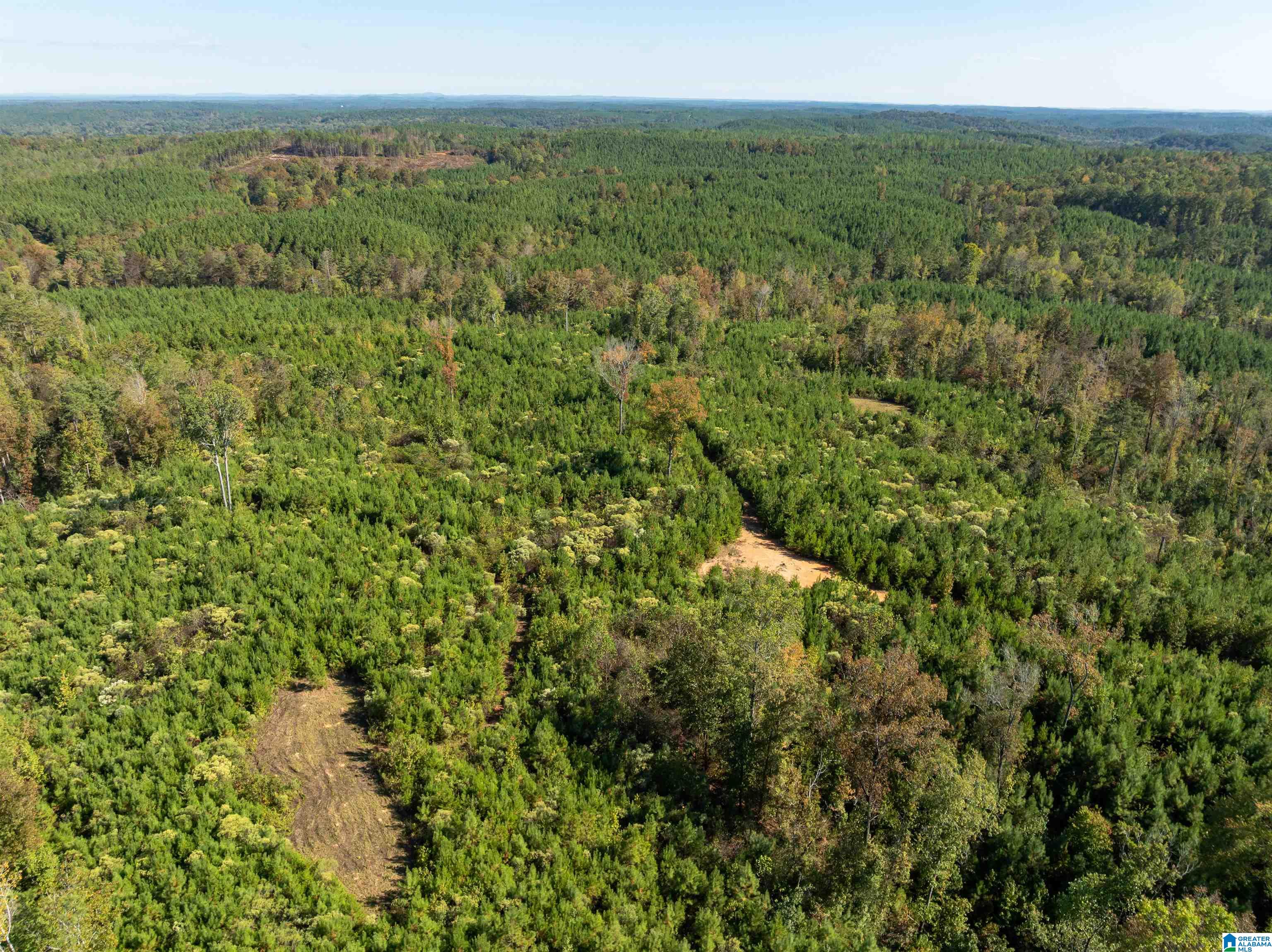 2599 COUNTY ROAD 86 .