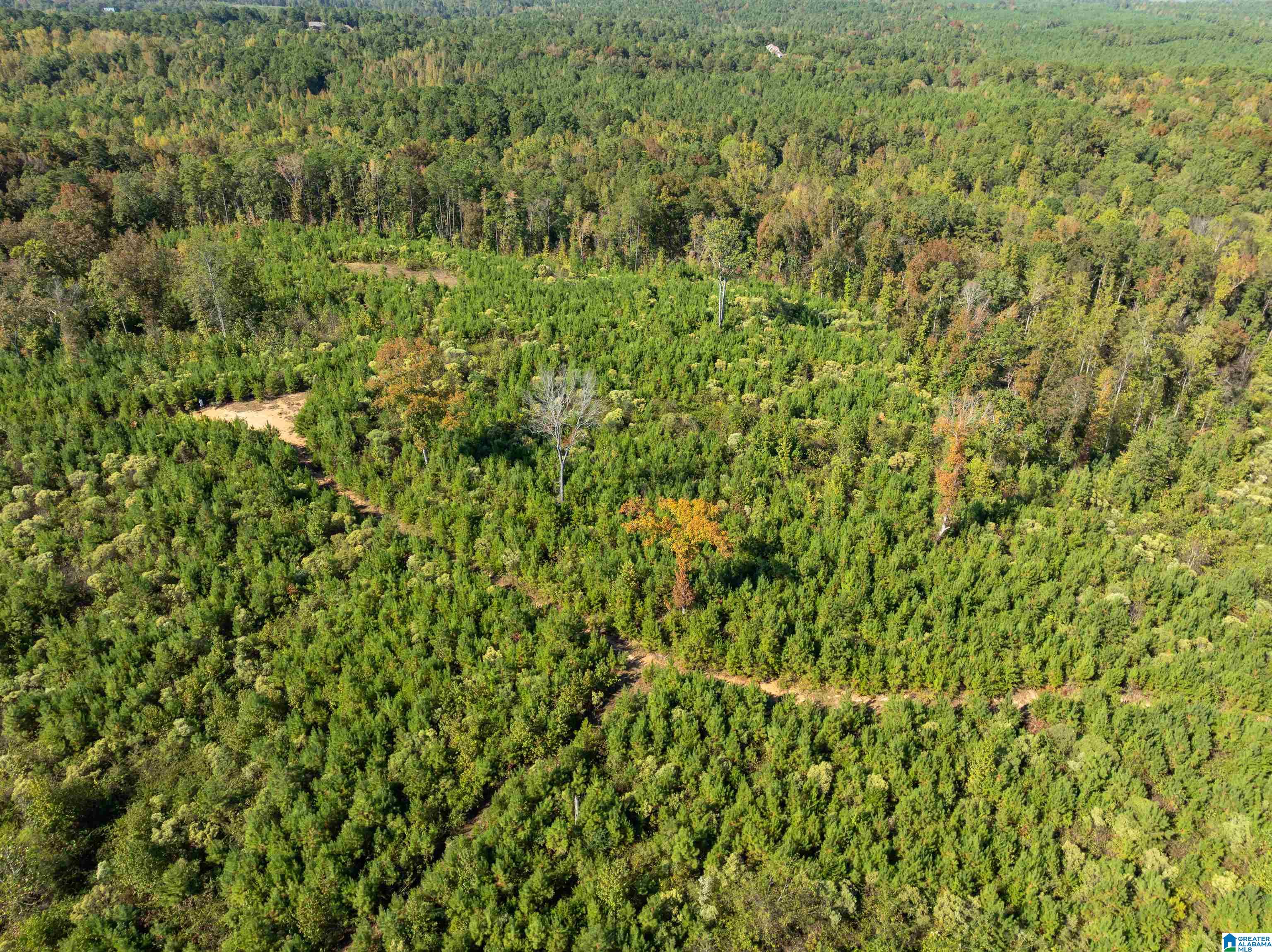 2599 COUNTY ROAD 86 .