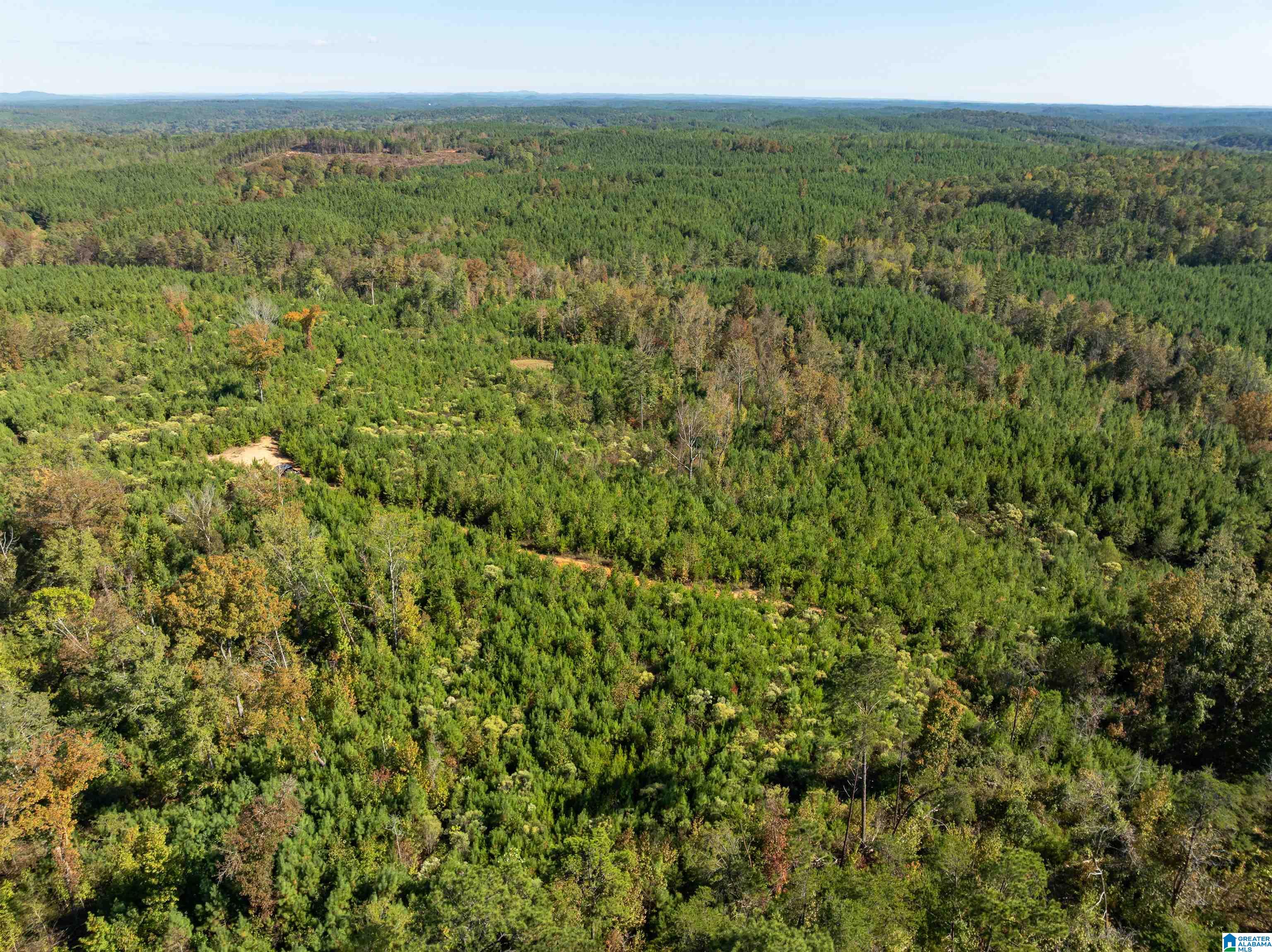 2599 COUNTY ROAD 86 .