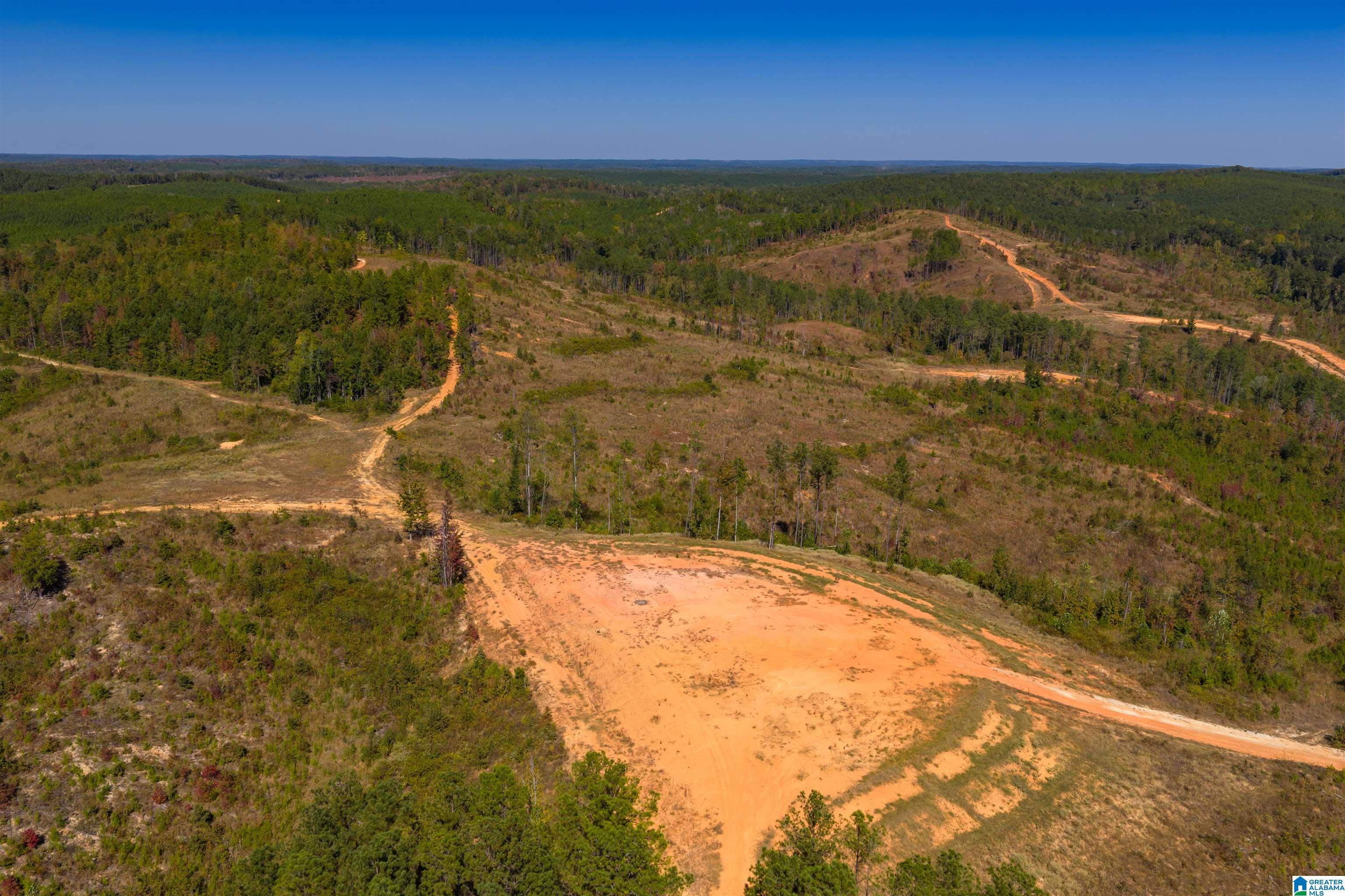 2711 MONTGOMERY HIGHWAY 11 Parcels Total