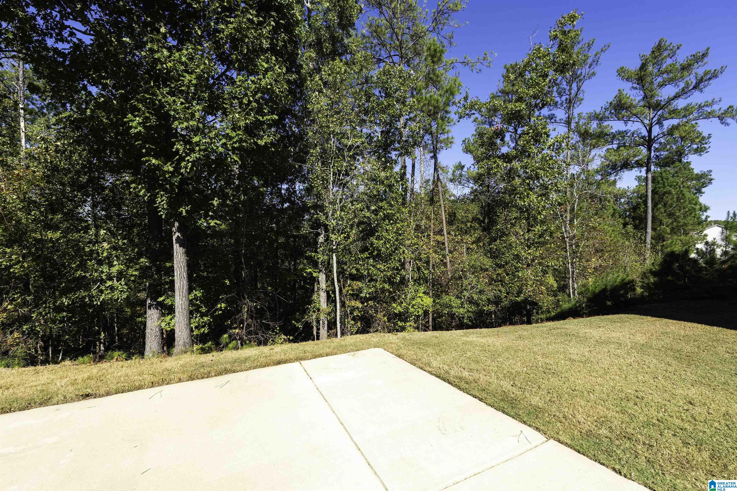 386 ROCK TERRACE DRIVE