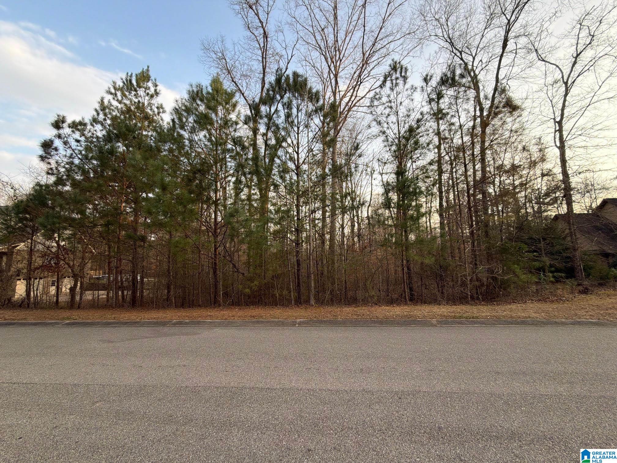 135 GLENSTONE DRIVE 16
