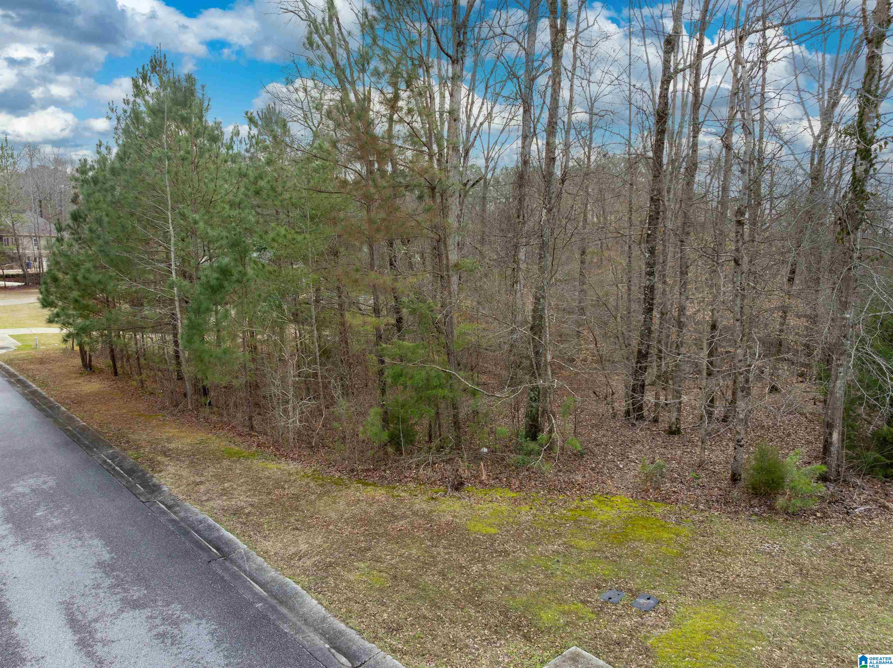135 GLENSTONE DRIVE 16