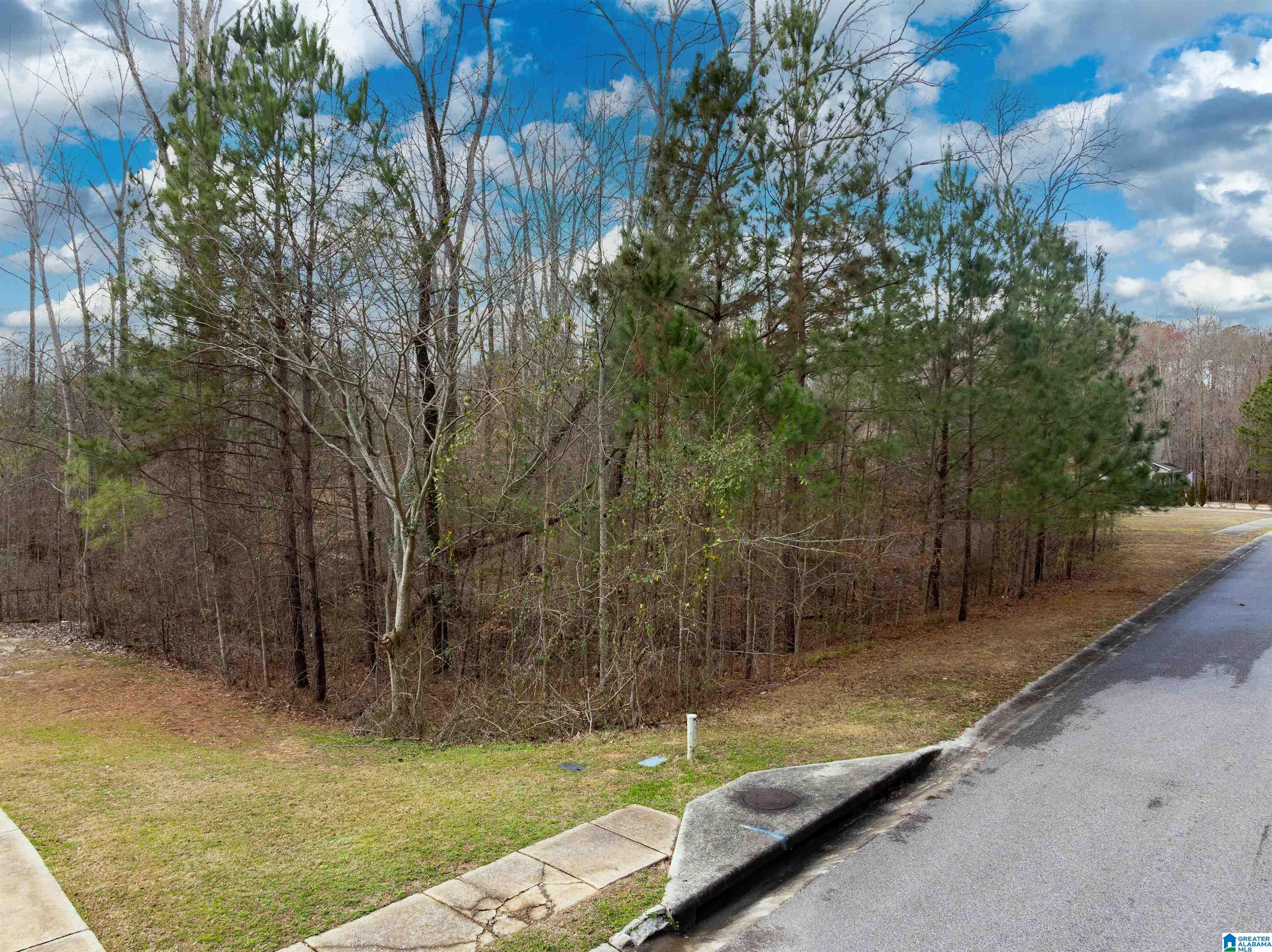 135 GLENSTONE DRIVE 16
