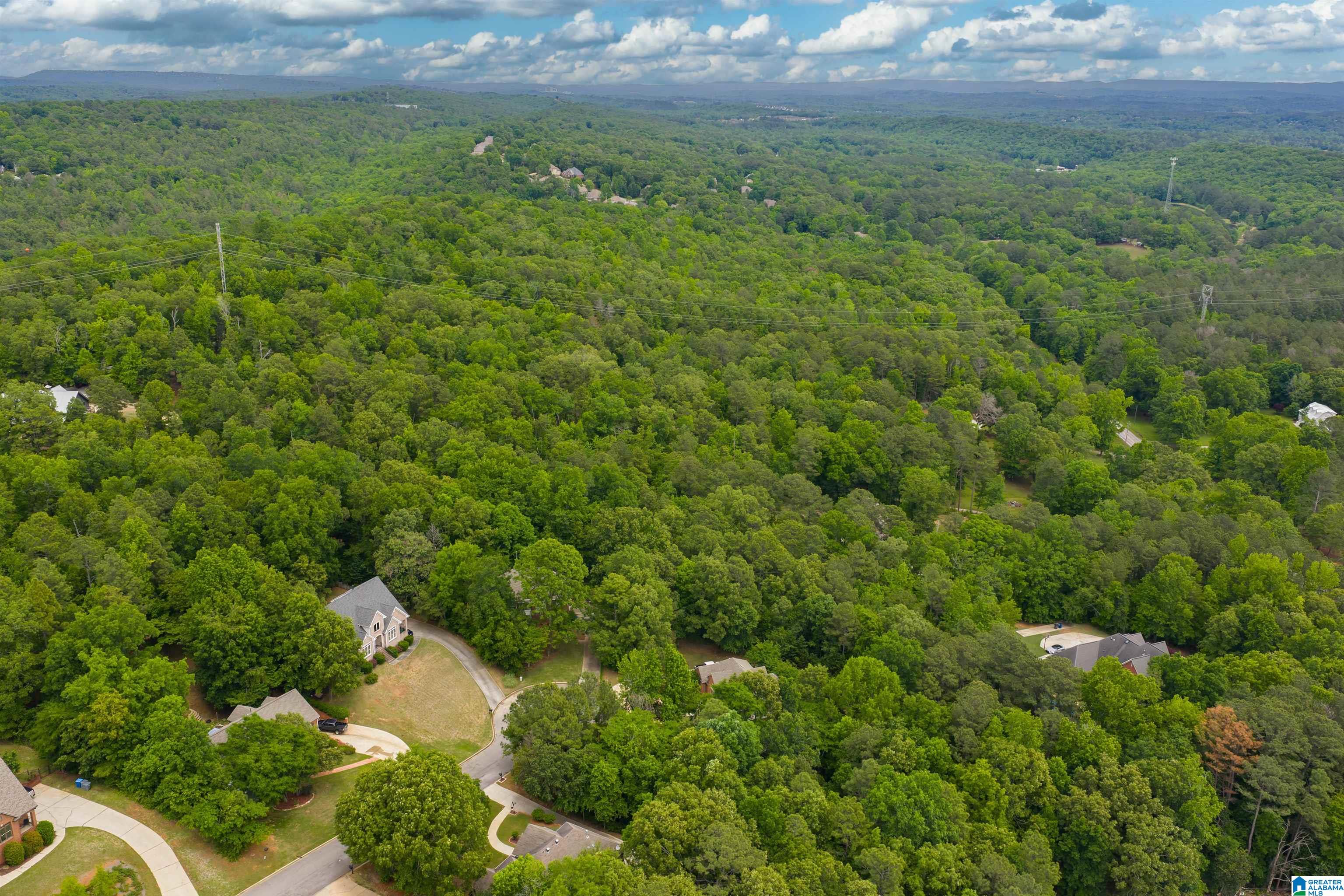 220 CHESTNUT FOREST DRIVE