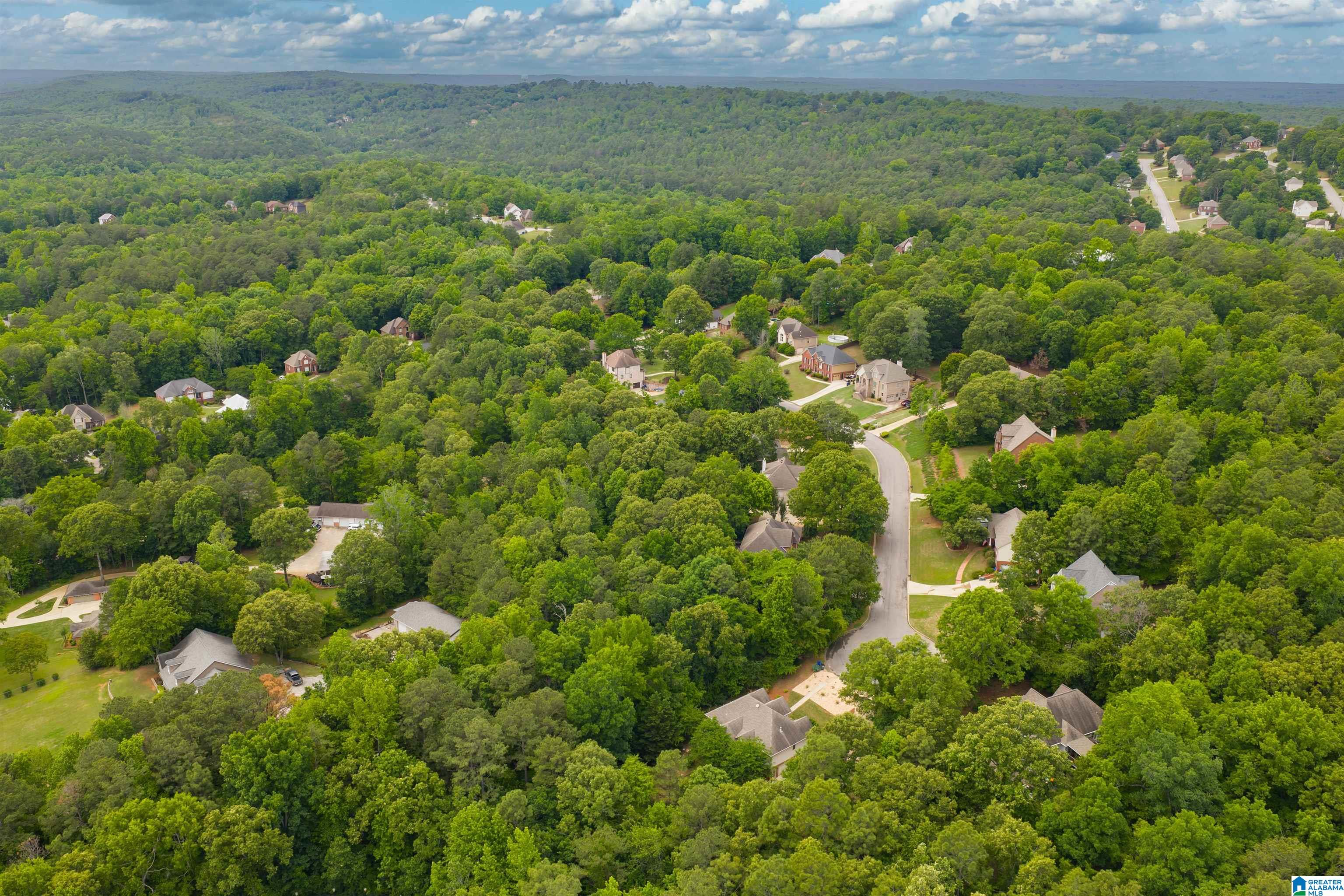 220 CHESTNUT FOREST DRIVE