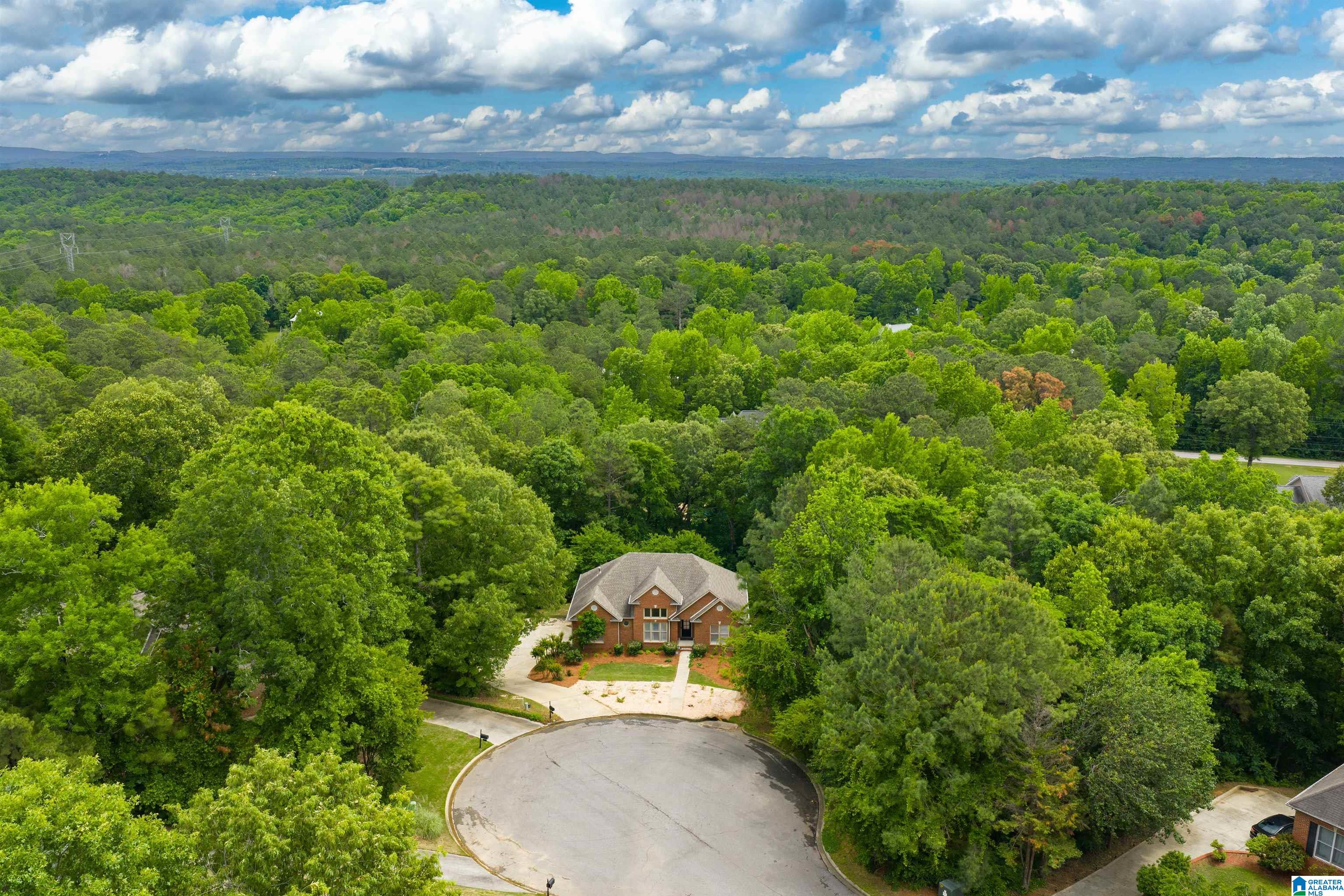 220 CHESTNUT FOREST DRIVE