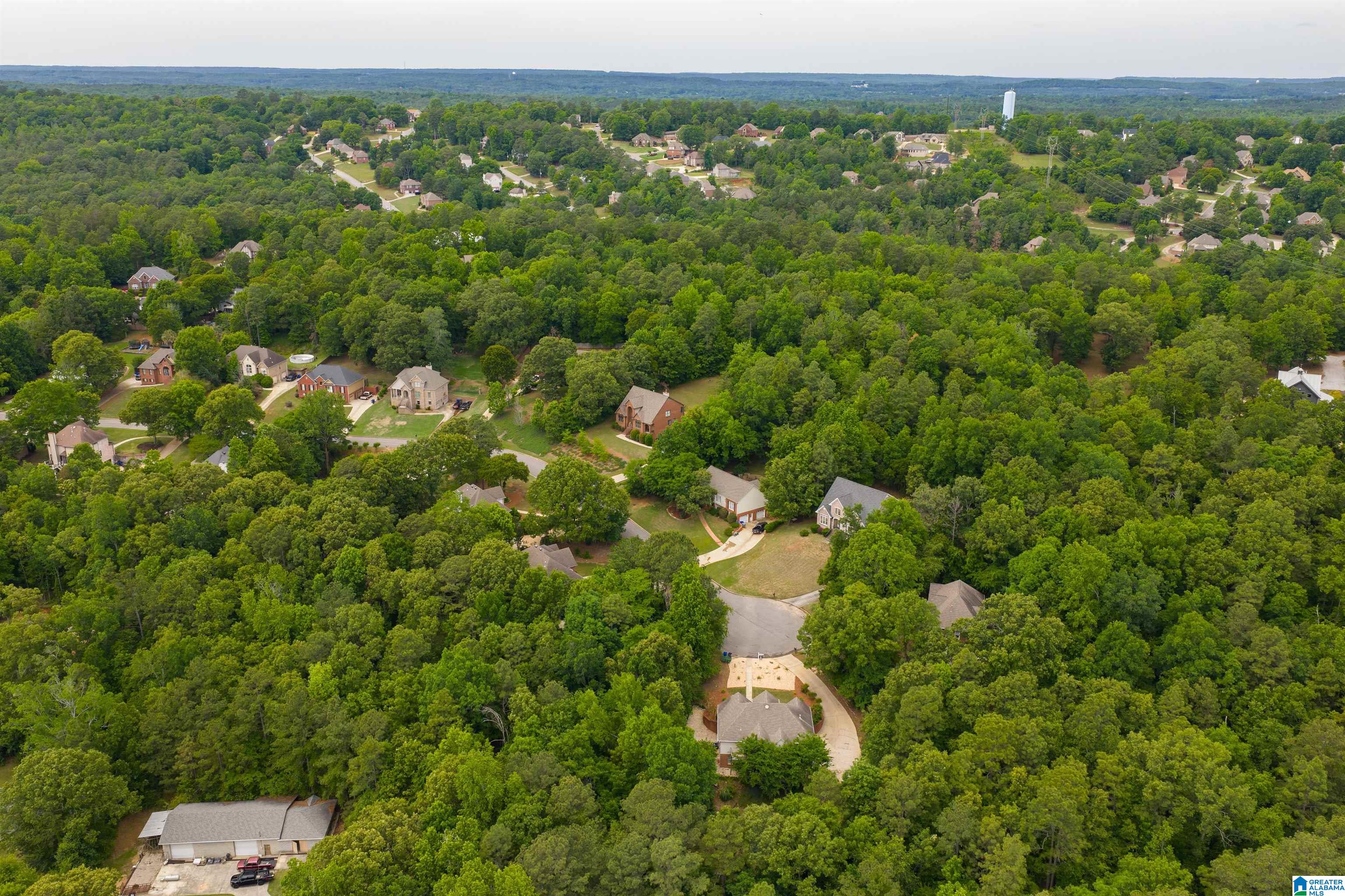 220 CHESTNUT FOREST DRIVE