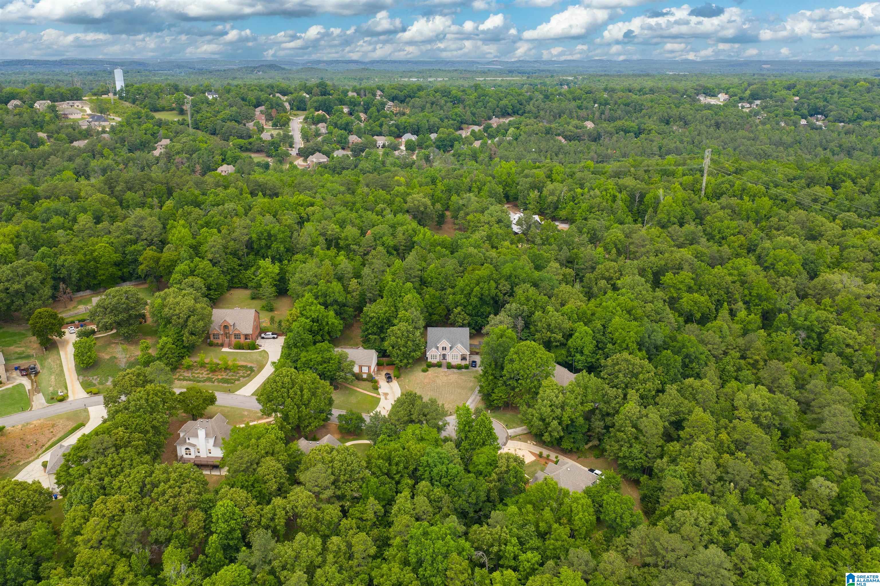 220 CHESTNUT FOREST DRIVE