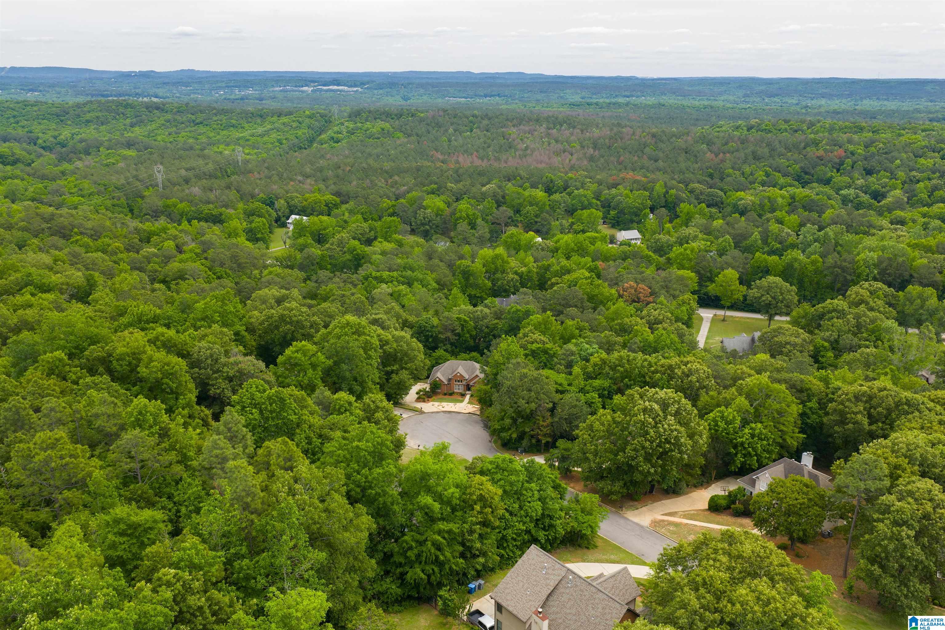 220 CHESTNUT FOREST DRIVE