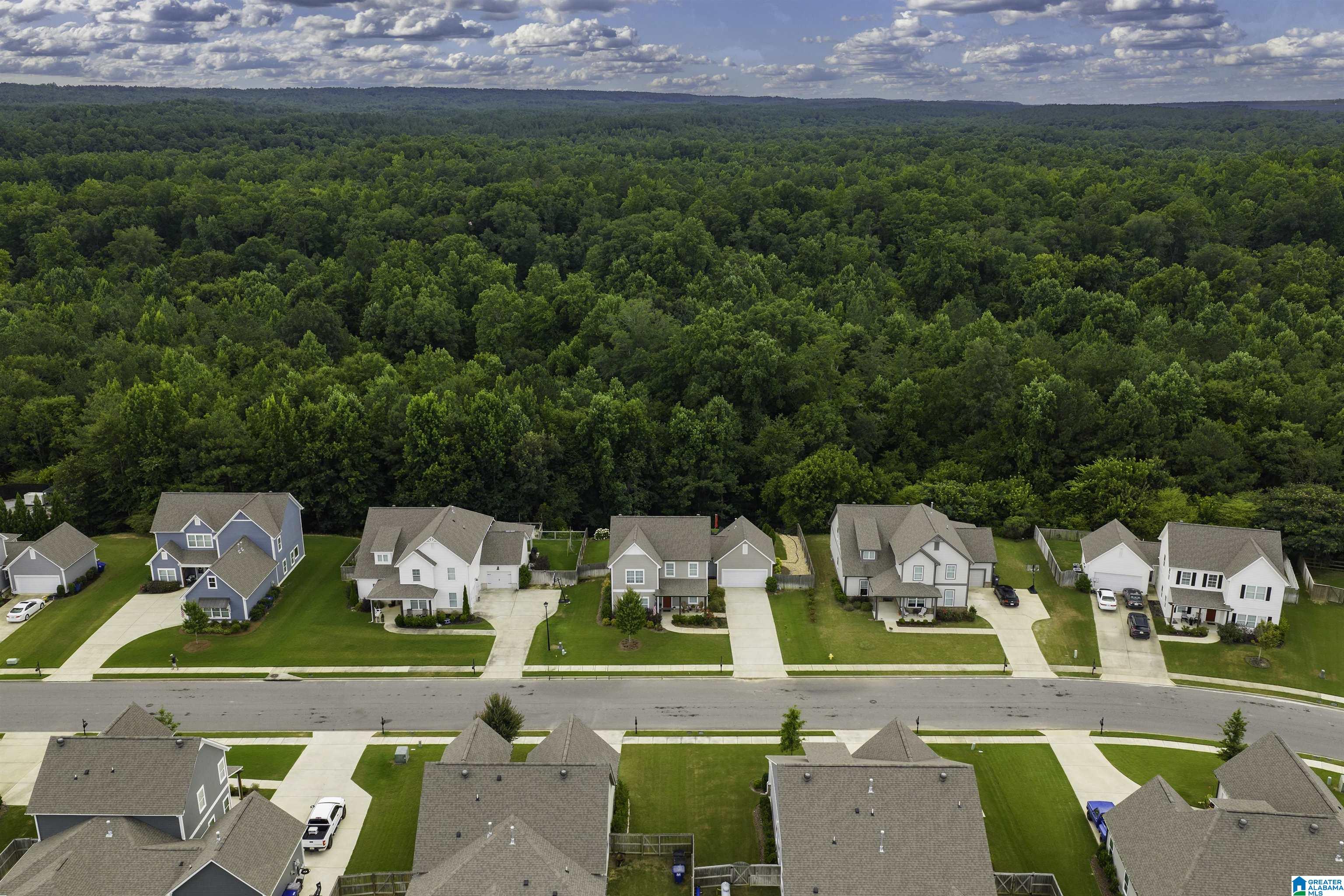 4583 OLD CAHABA PARKWAY