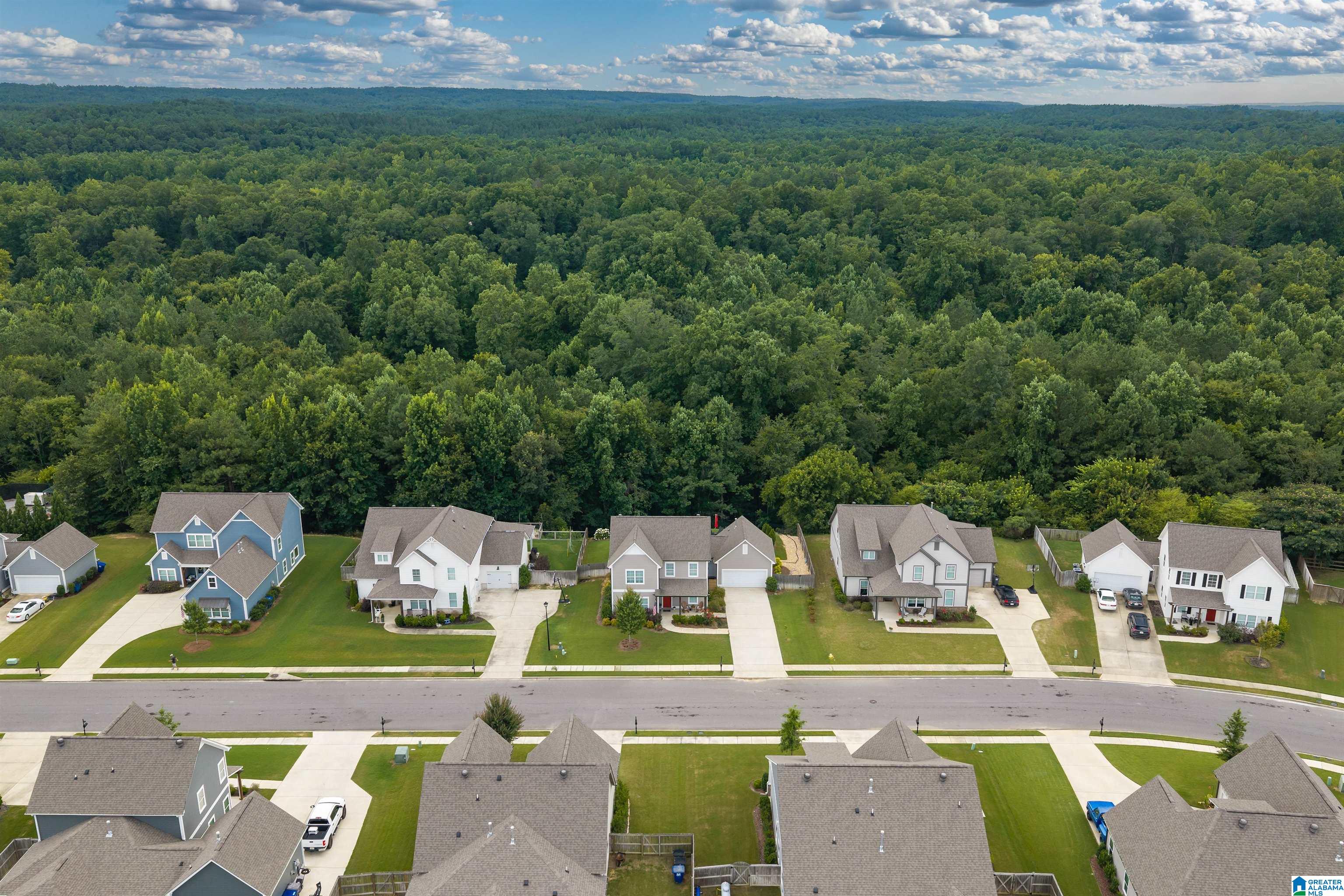 4583 OLD CAHABA PARKWAY