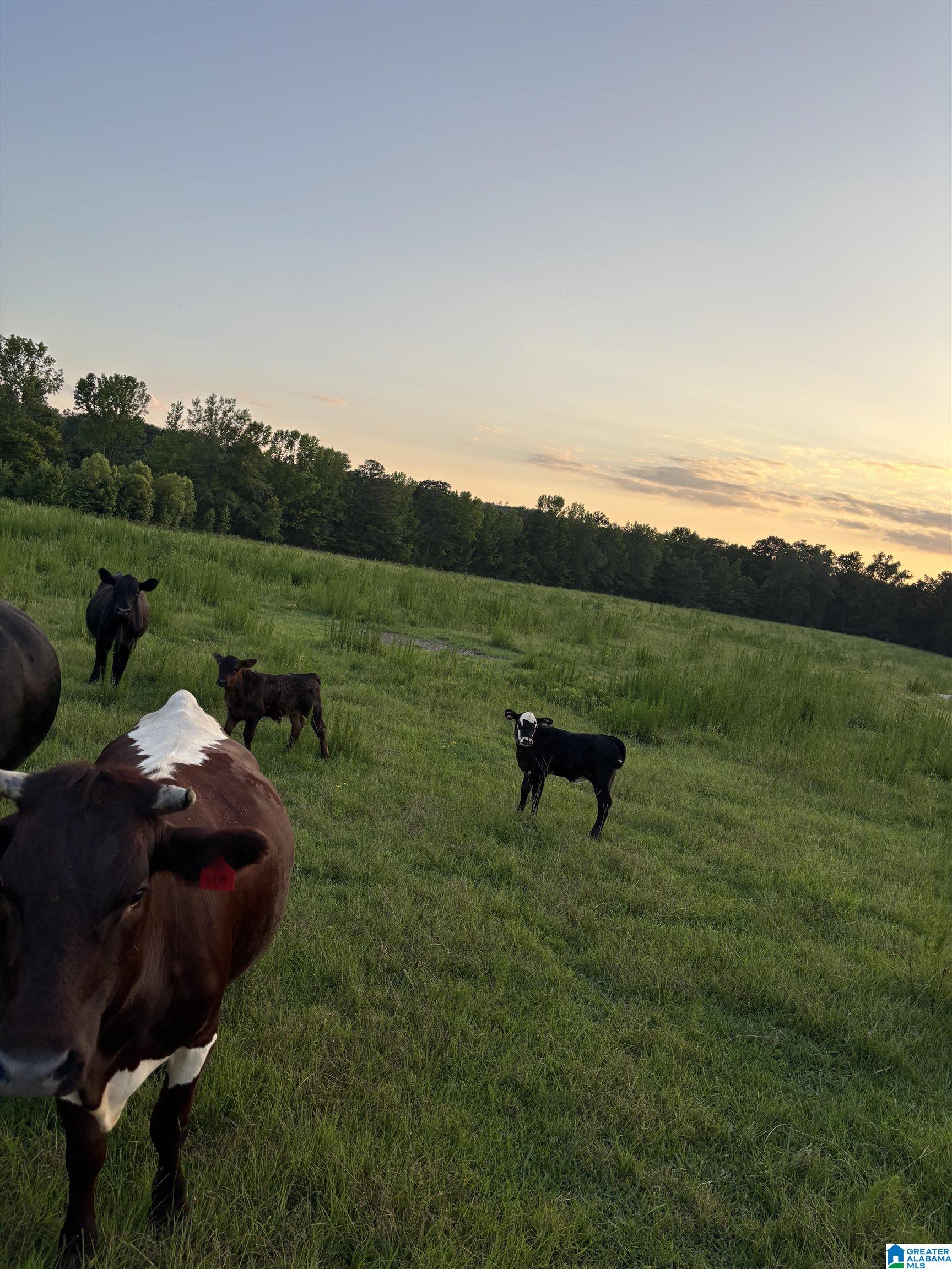 4759 COUNTY ROAD 55