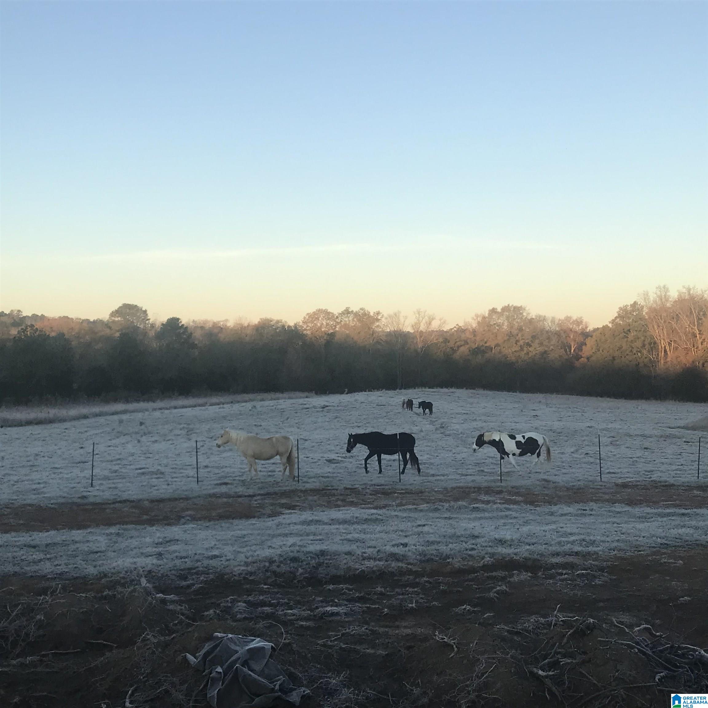4759 COUNTY ROAD 55