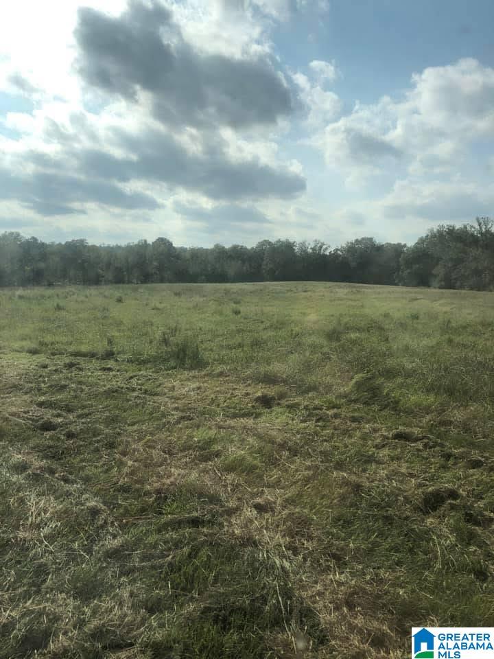 4759 COUNTY ROAD 55