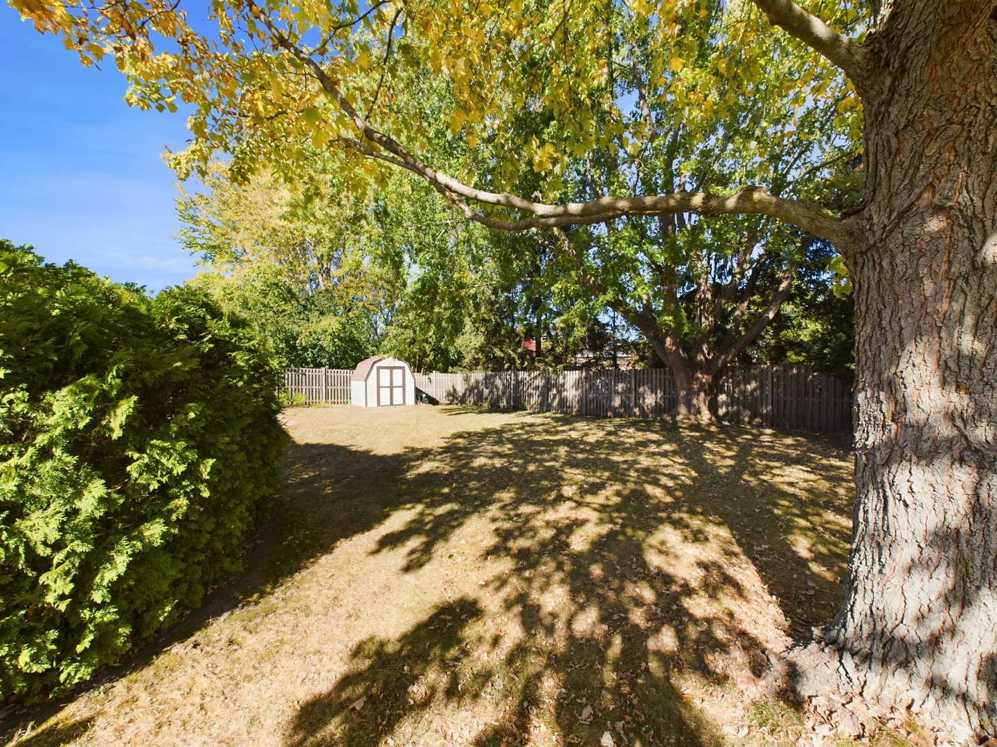 1700 Shorewood Drive W