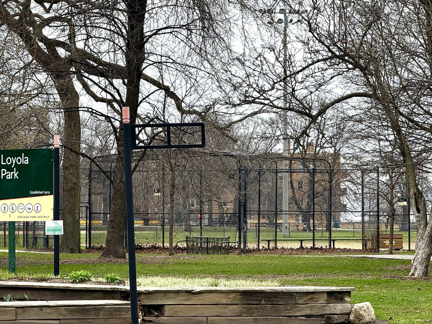 7031 N Sheridan Road Unit: 2E