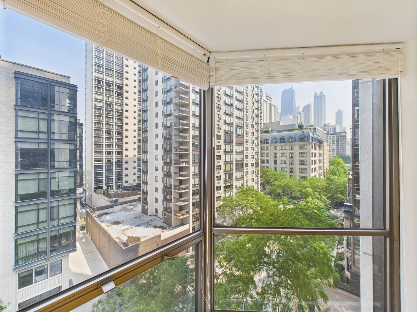 1310 N Ritchie Court Unit: 7D