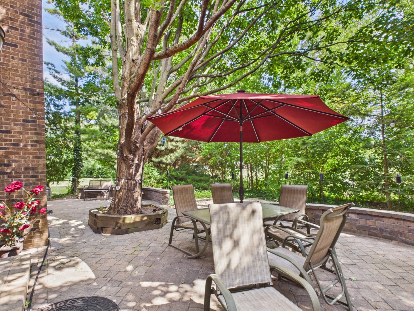 2541 Cobblewood Drive