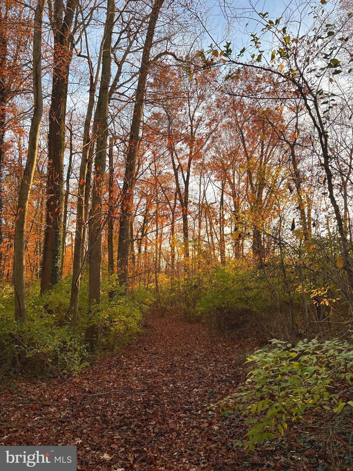 30241 Matthewstown Rd