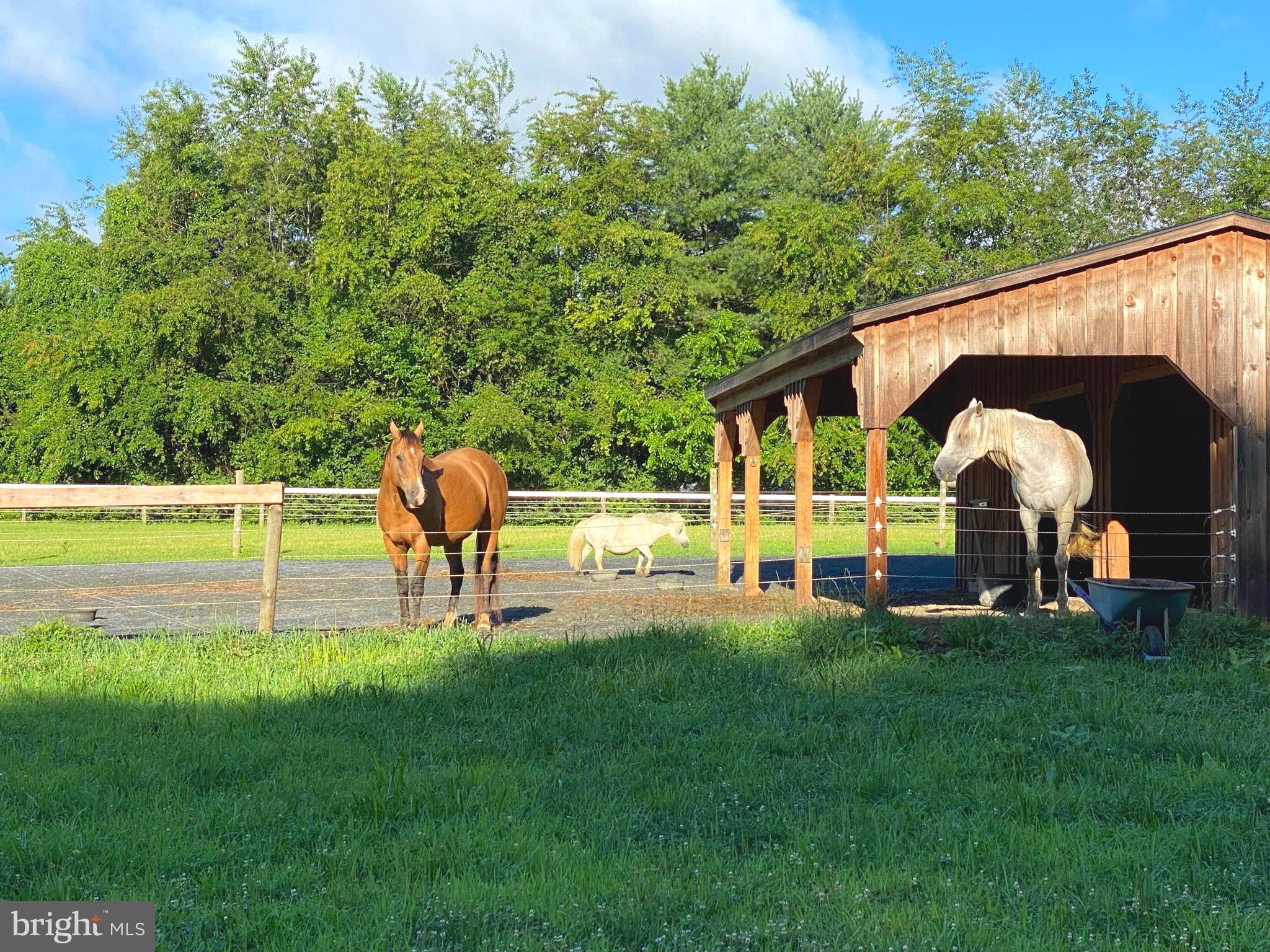 30241 Matthewstown Rd