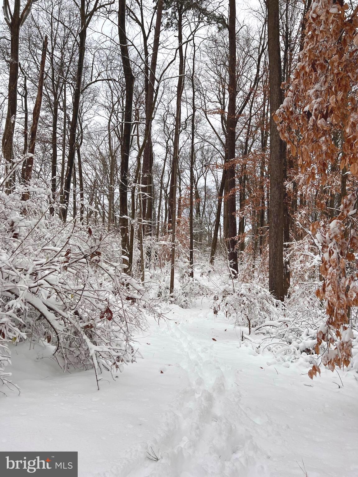 30241 Matthewstown Rd