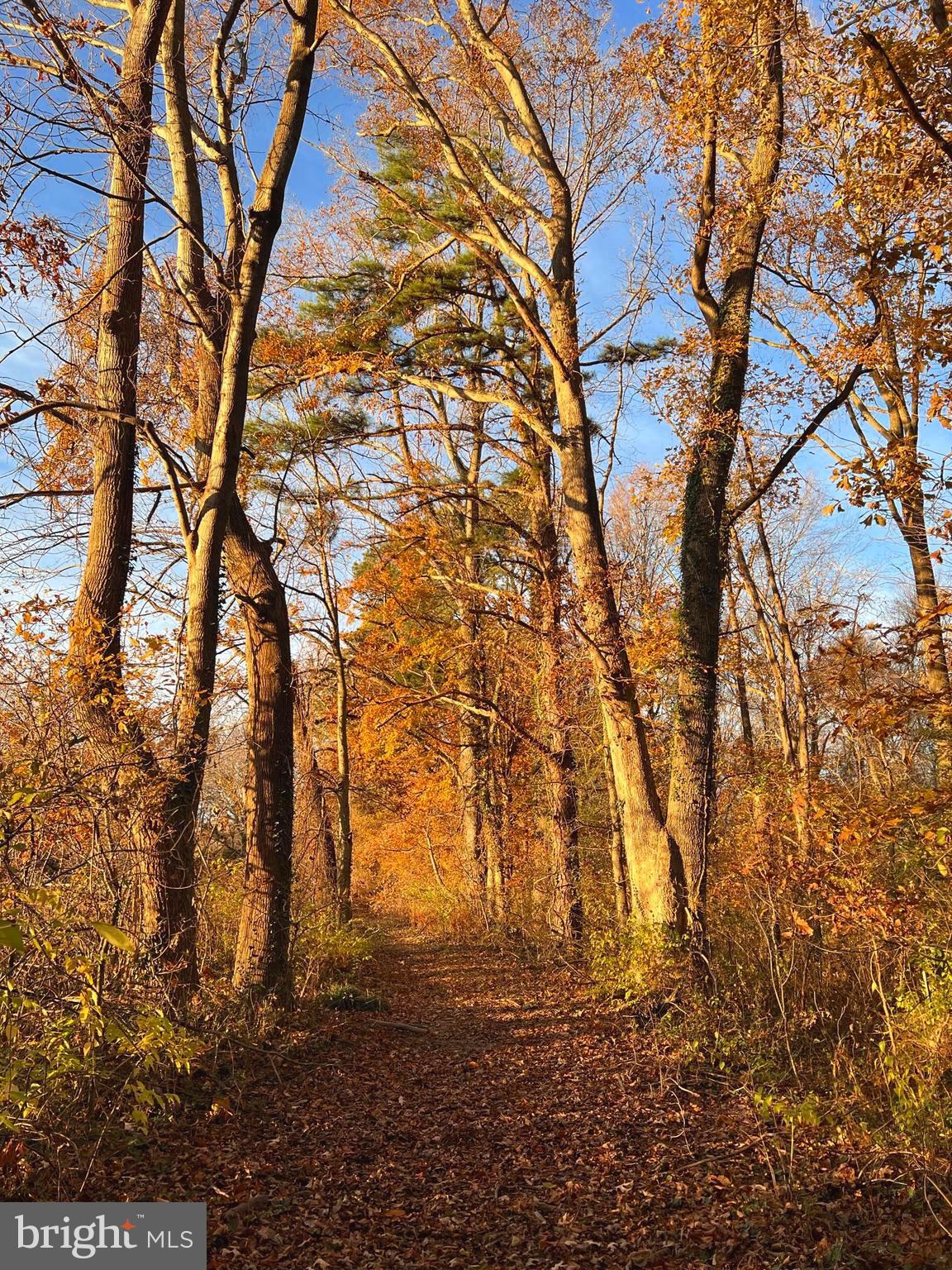 30241 Matthewstown Rd