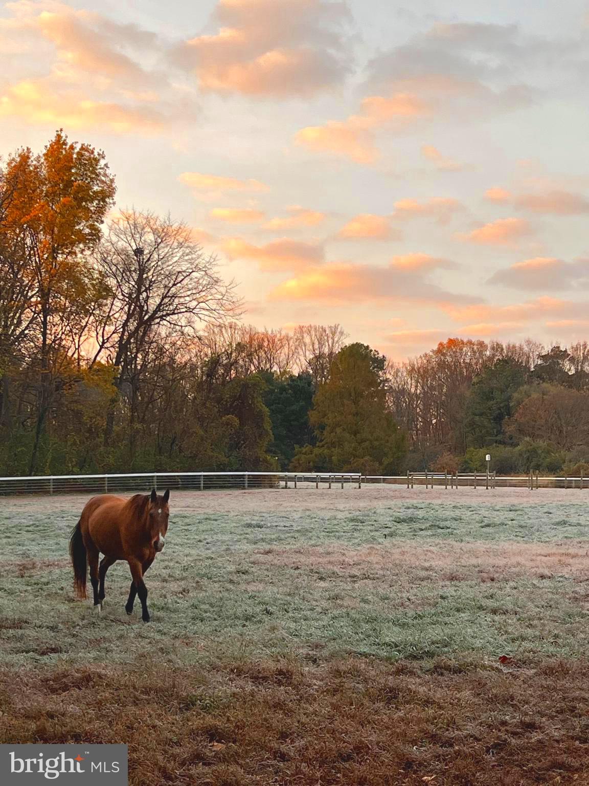 30241 Matthewstown Rd